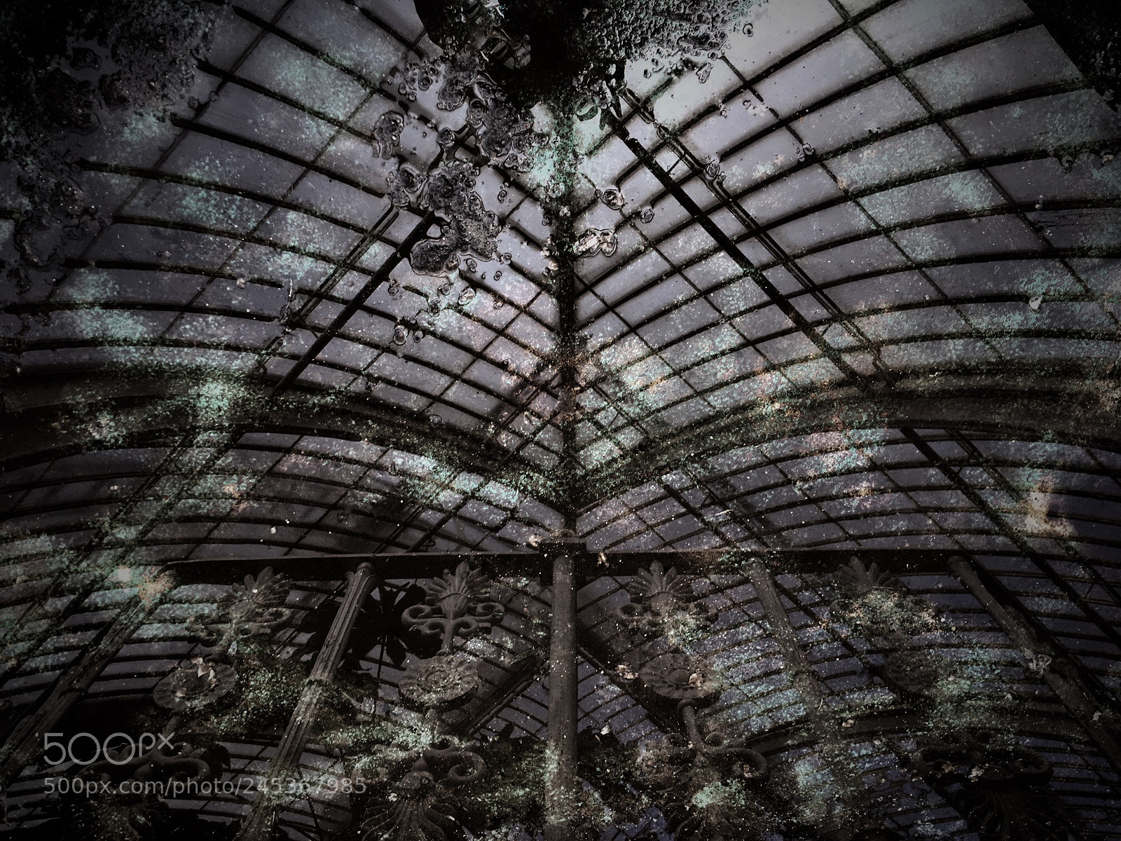 Apple iPhone SE sample photo. Palm house reflections photography