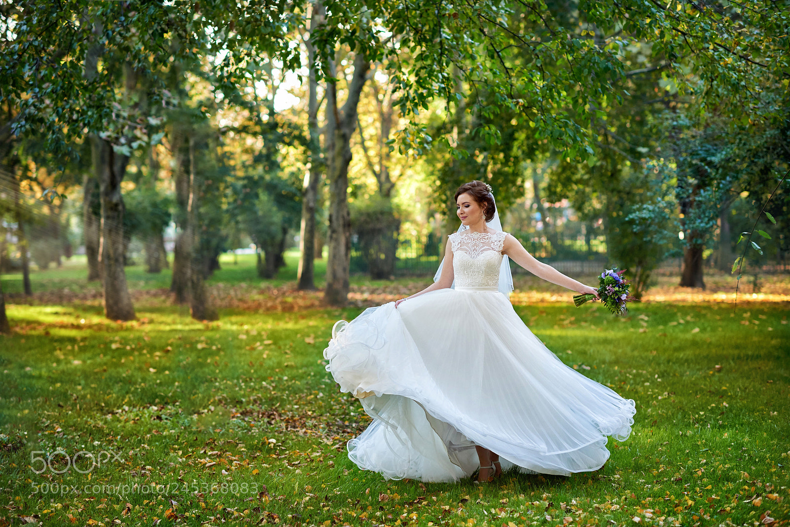 Nikon D810 sample photo. Ali photography