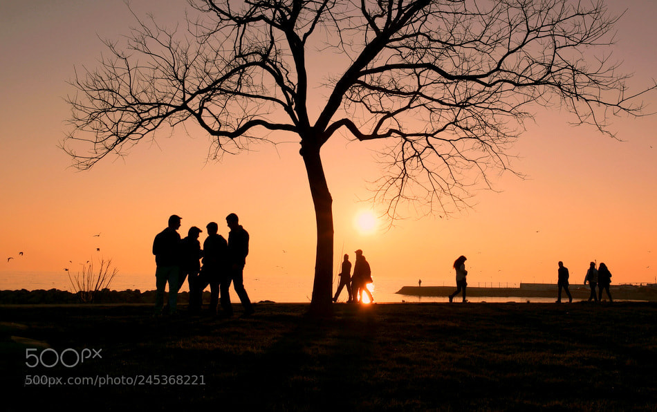 Samsung NX1 sample photo. ... photography