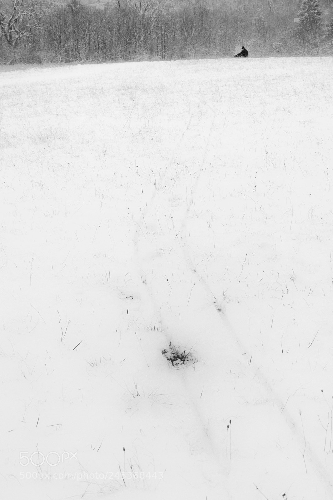 Canon EOS 40D sample photo. Childhood traces photography