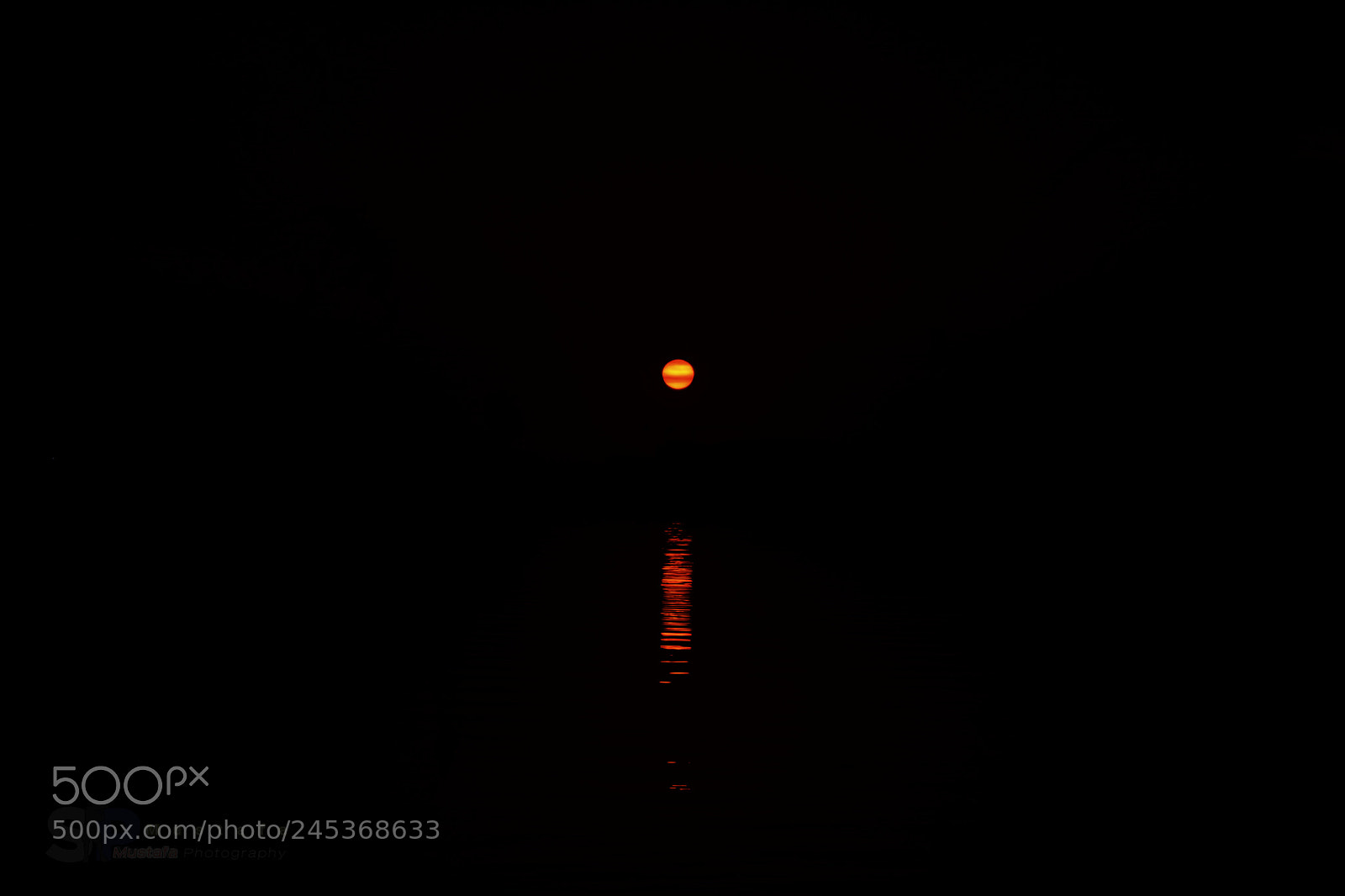 Nikon D5200 sample photo. Untitled photography