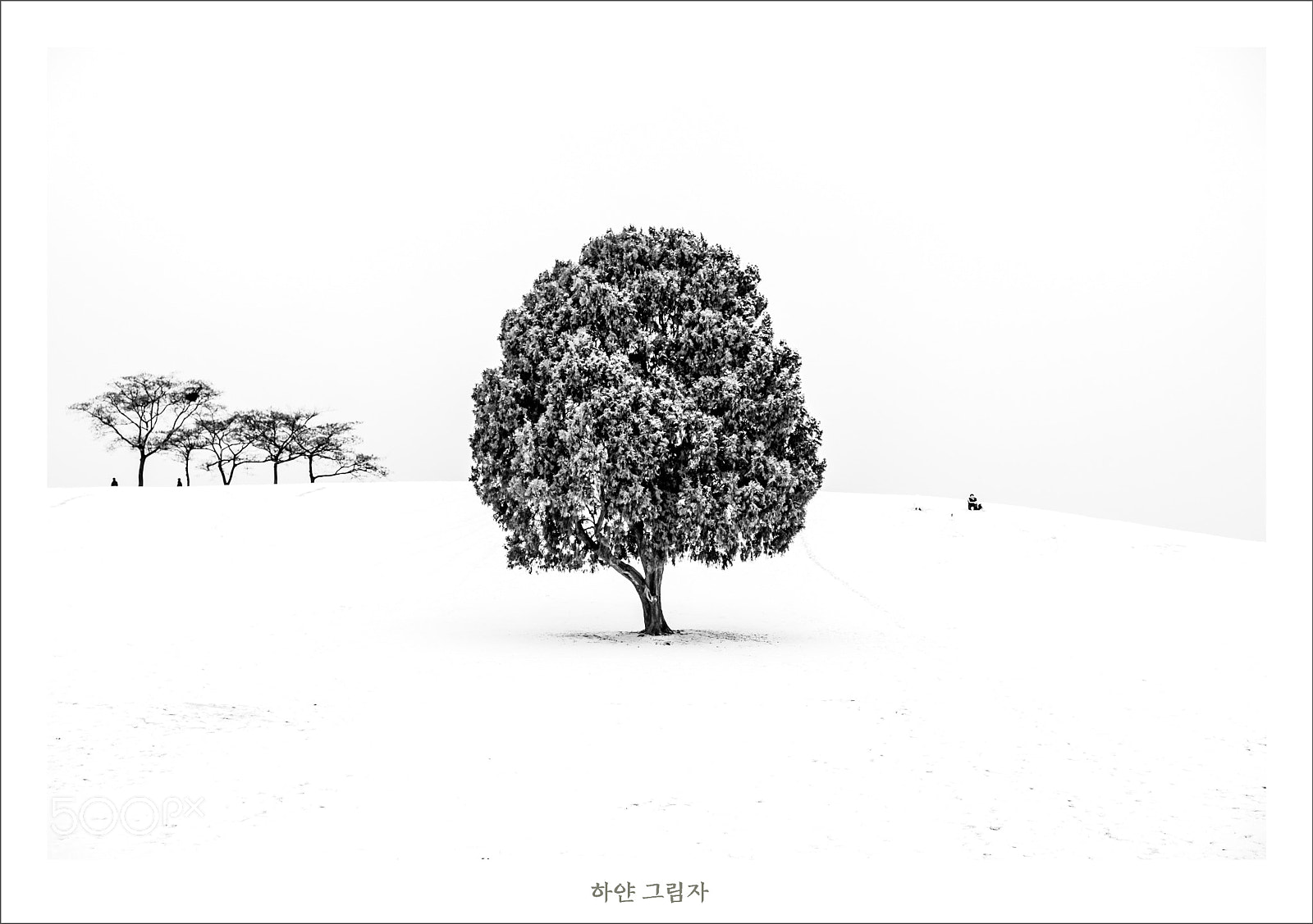 Pentax K-1 sample photo. Snow photography