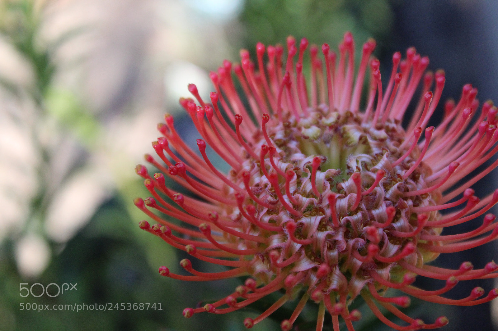 Canon EOS 1300D (EOS Rebel T6 / EOS Kiss X80) sample photo. Lifes hooks photography