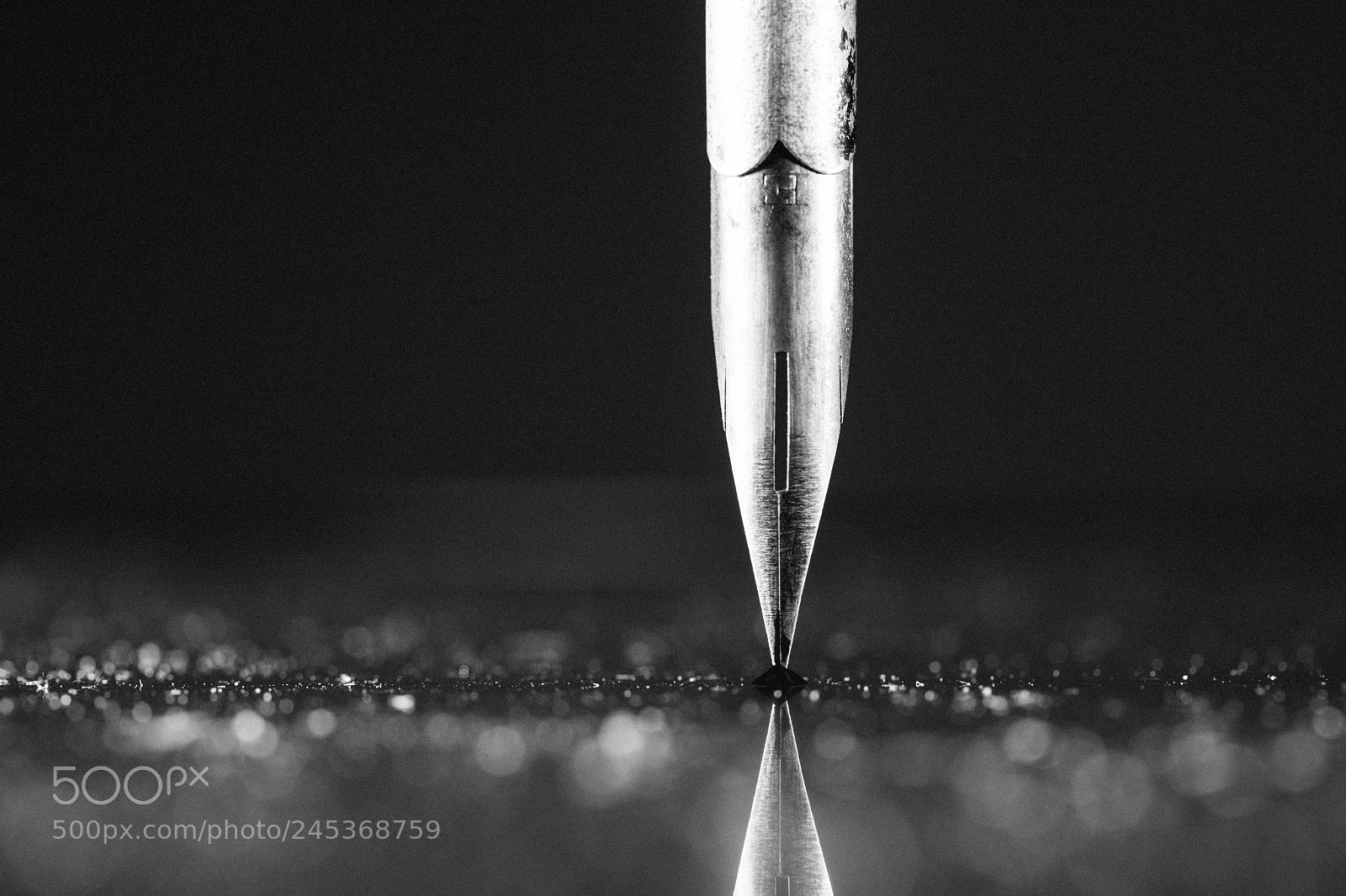 Canon EOS 5DS sample photo. Pen photography