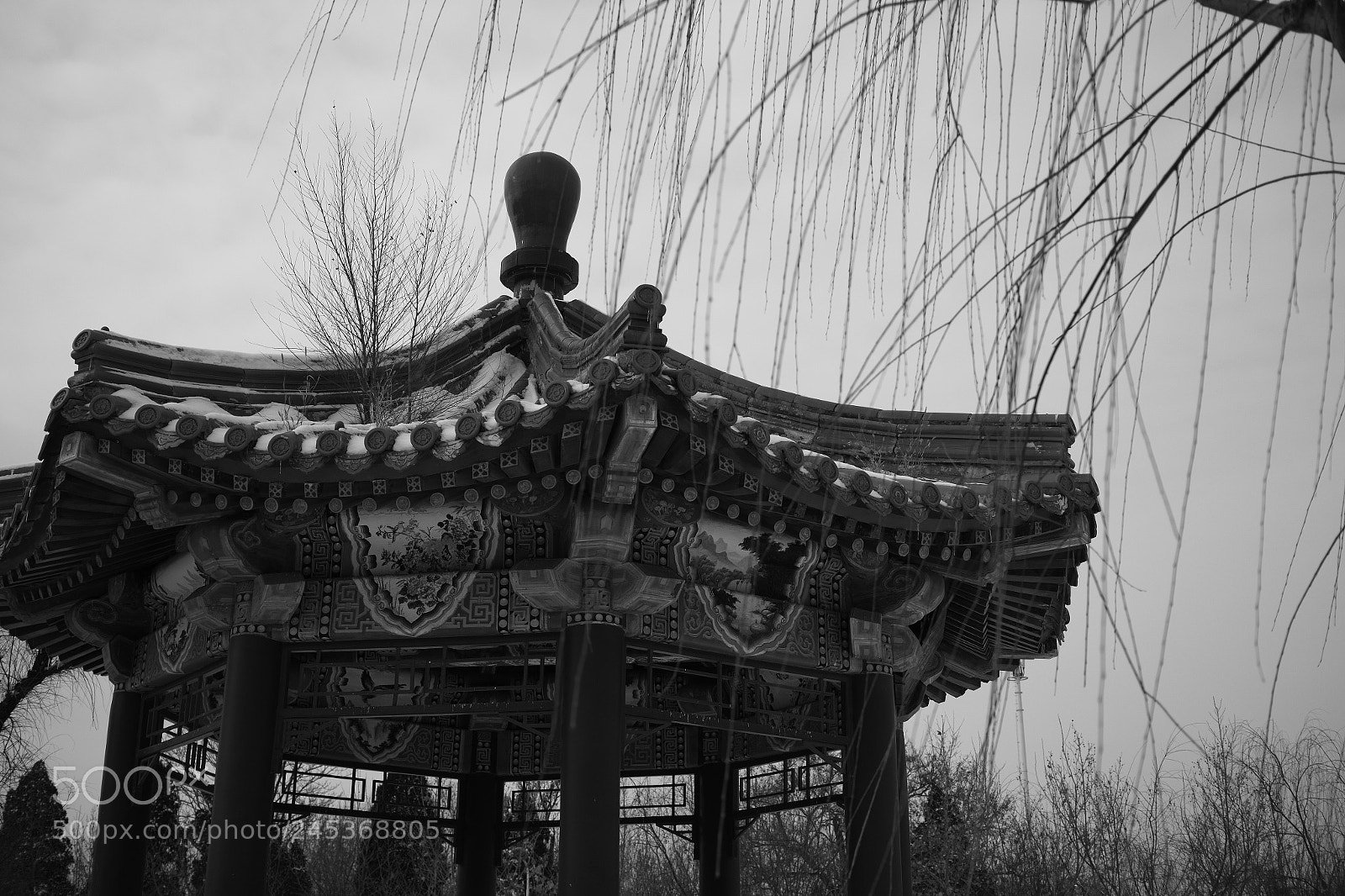 Sigma dp2 Quattro sample photo. Untitled photography