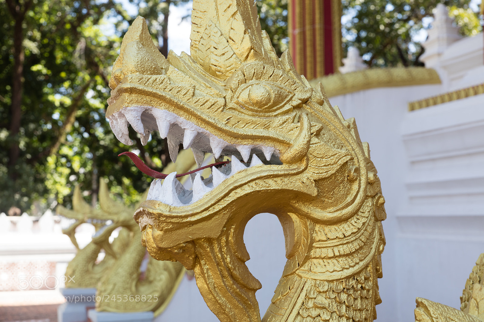 Canon EOS 5DS R sample photo. Vat sisaket, vientiane photography