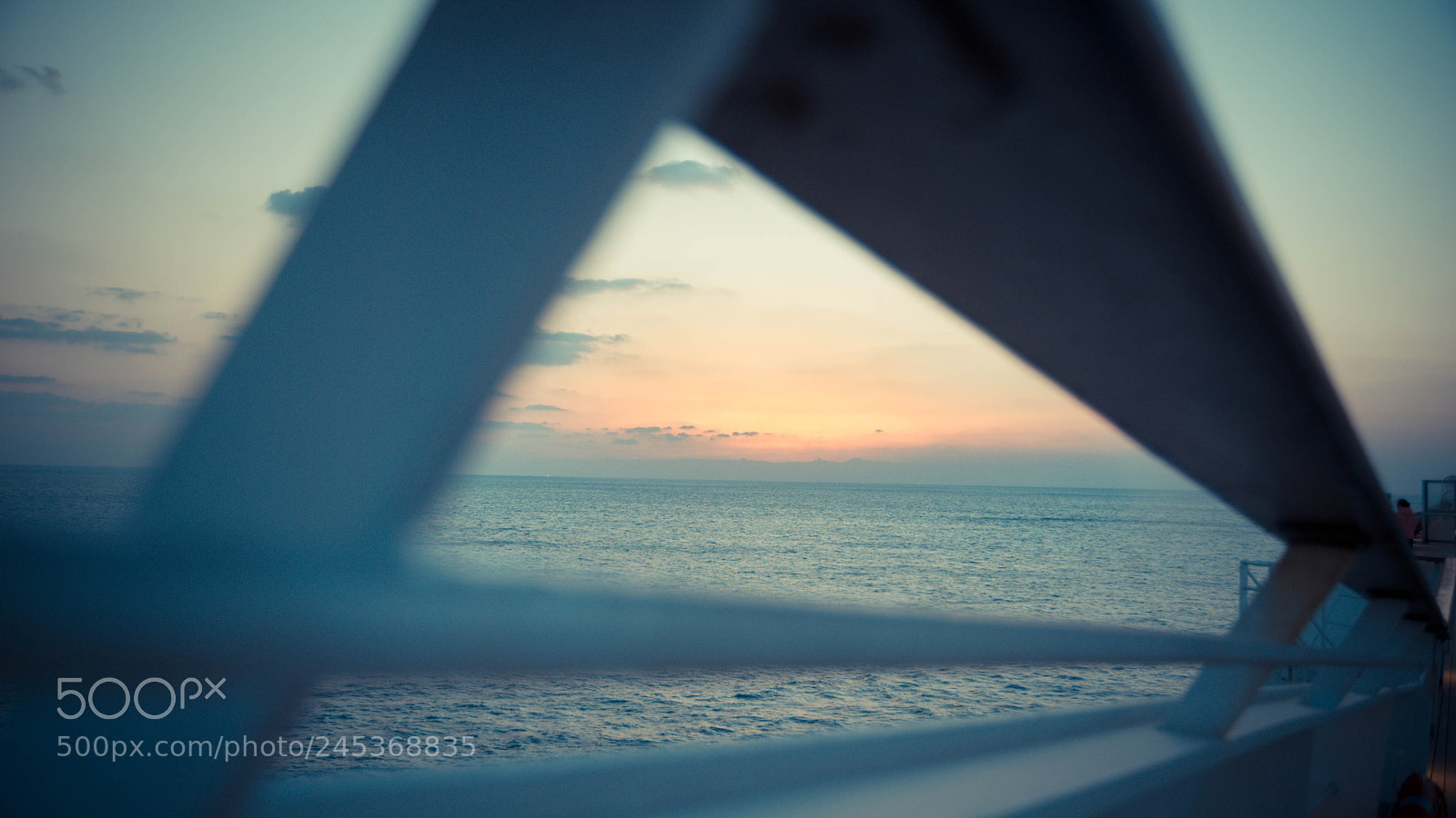 Nikon D610 sample photo. Untitled photography