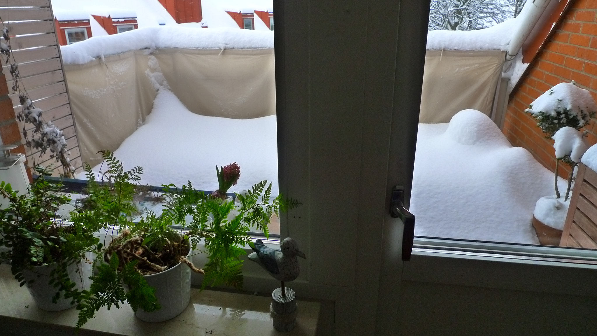 Panasonic Lumix DMC-LX3 sample photo. Winter in lund, sweden photography
