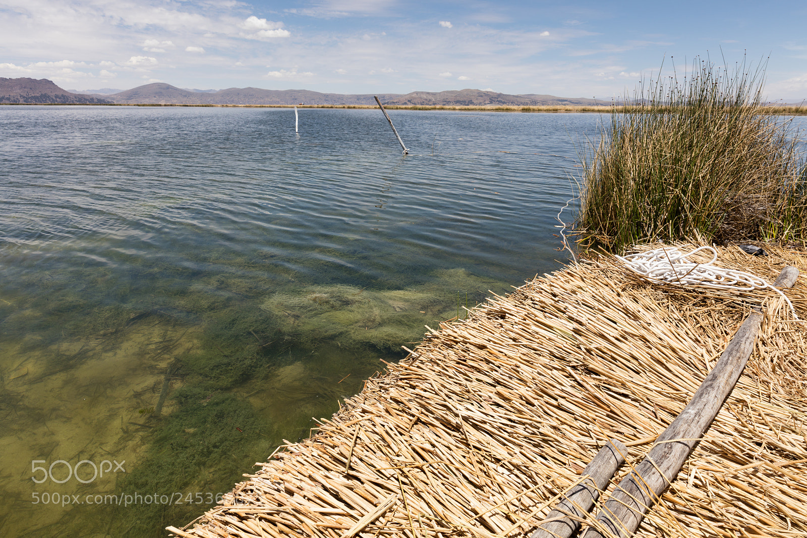 Canon EOS 5DS R sample photo. Life on the titicaca photography