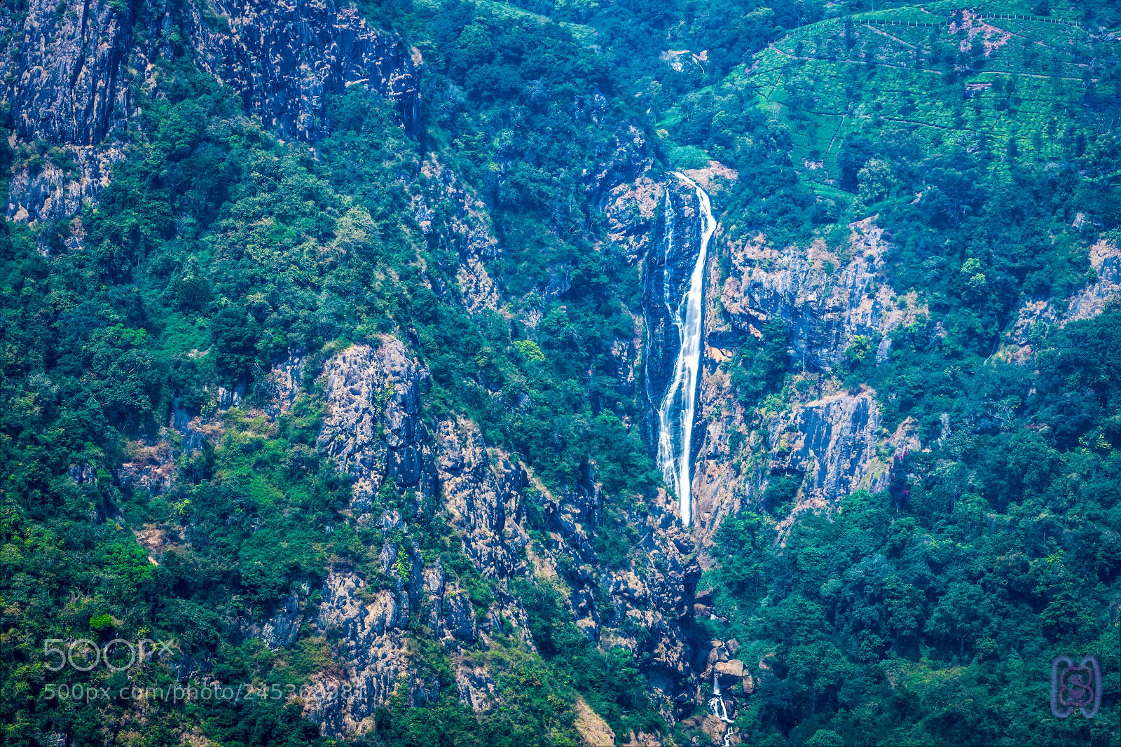 Nikon D850 sample photo. Catherine falls photography