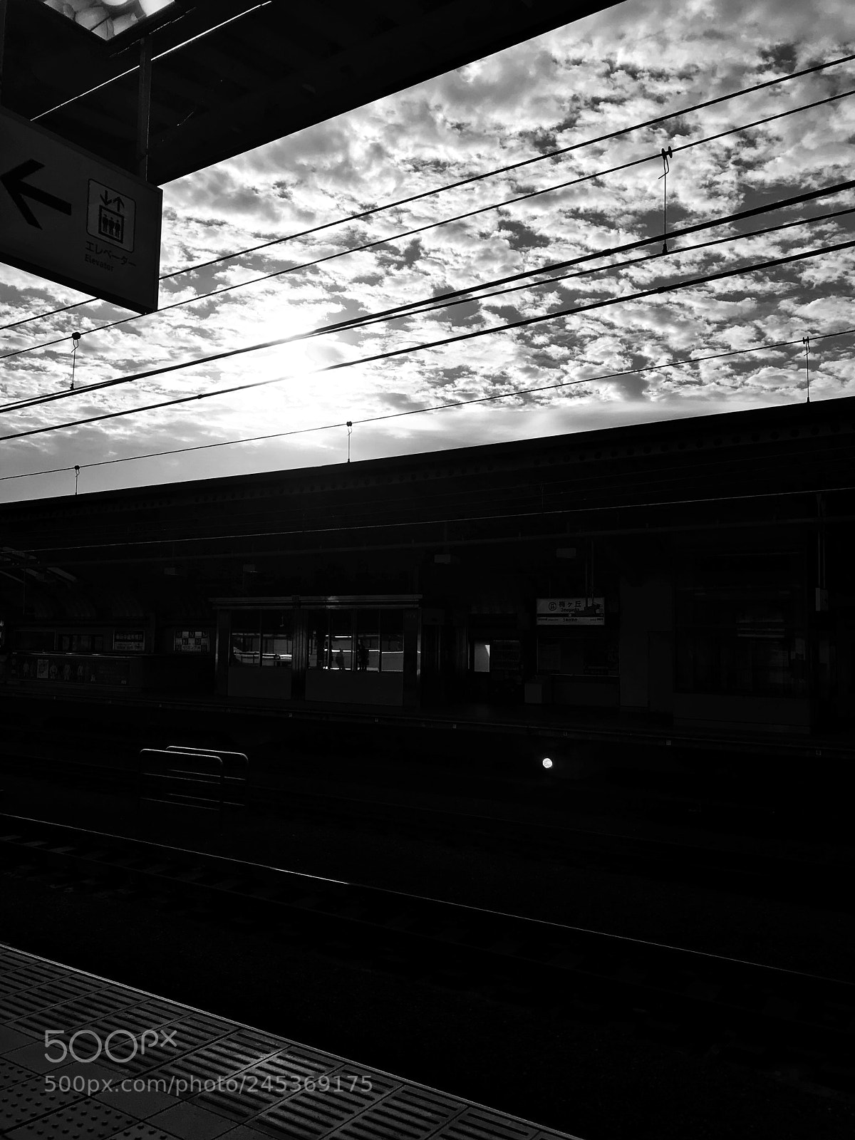 Apple iPhone 7 sample photo. Untitled photography