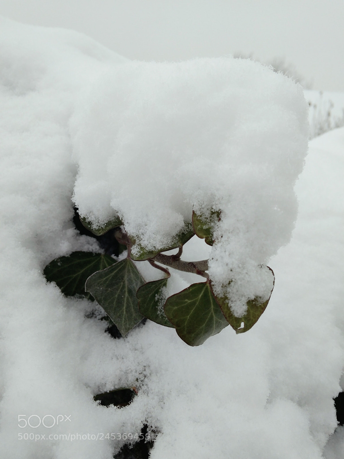 Xiaomi Redmi 4A sample photo. New snow photography
