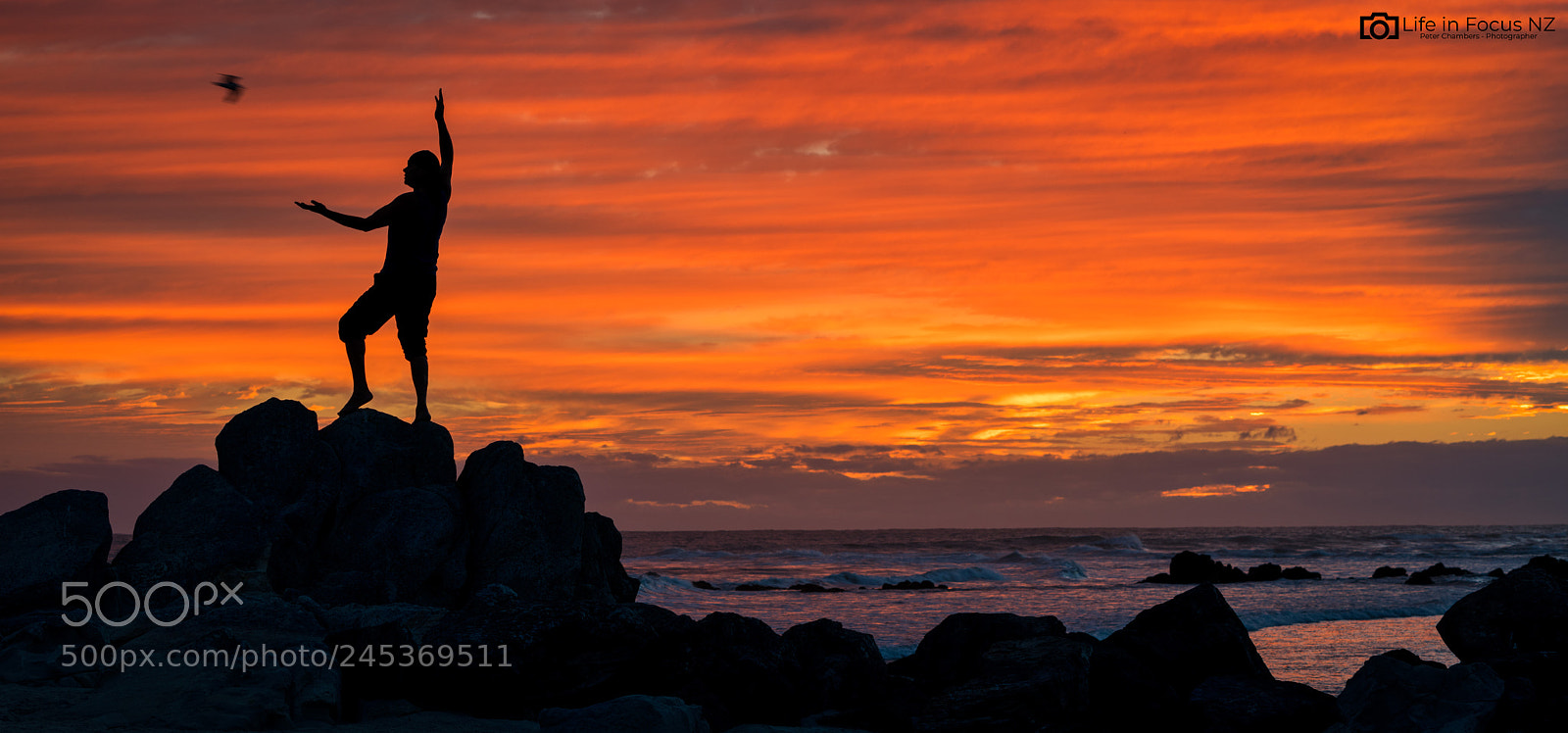 Sony a7R III sample photo. Sunrise qi gong form photography
