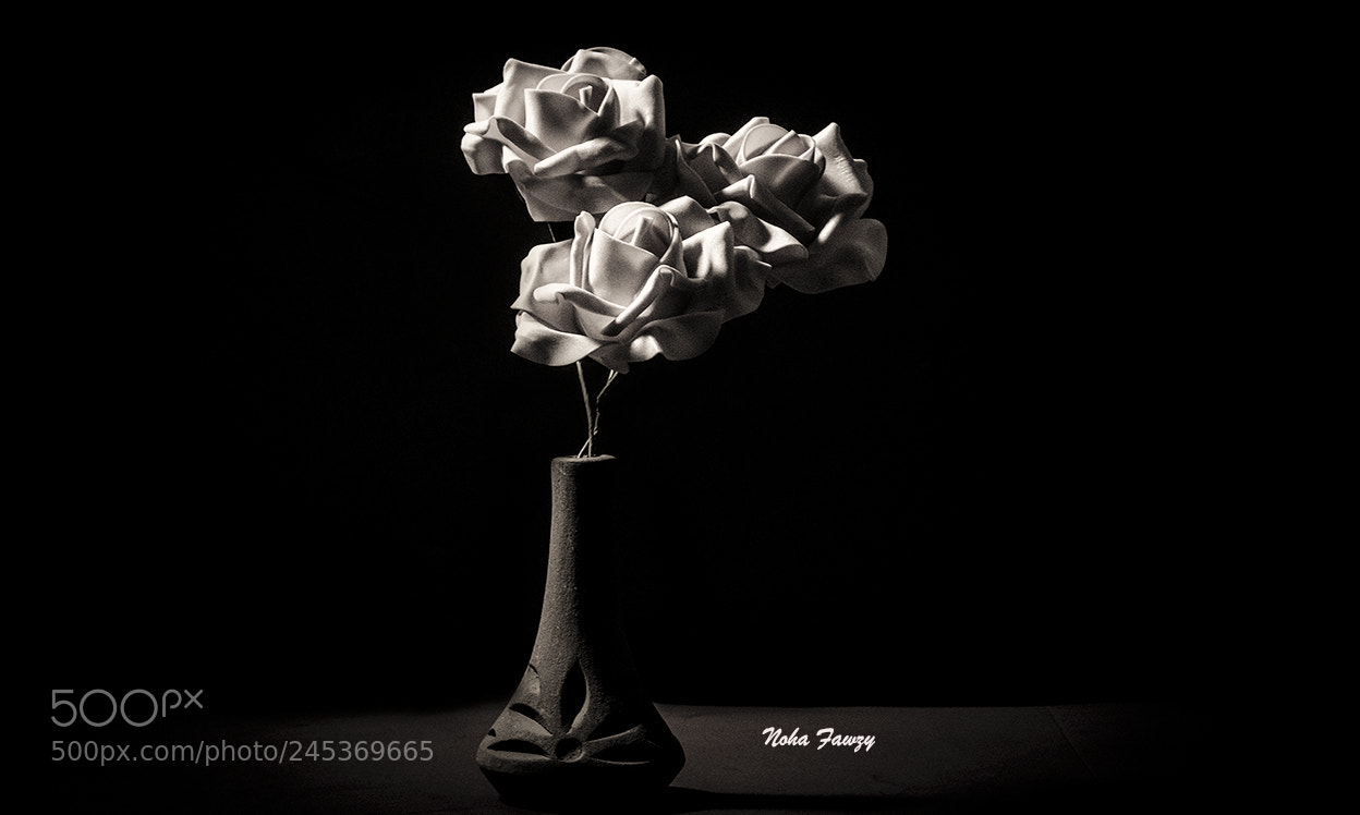 Nikon D5100 sample photo. Together photography