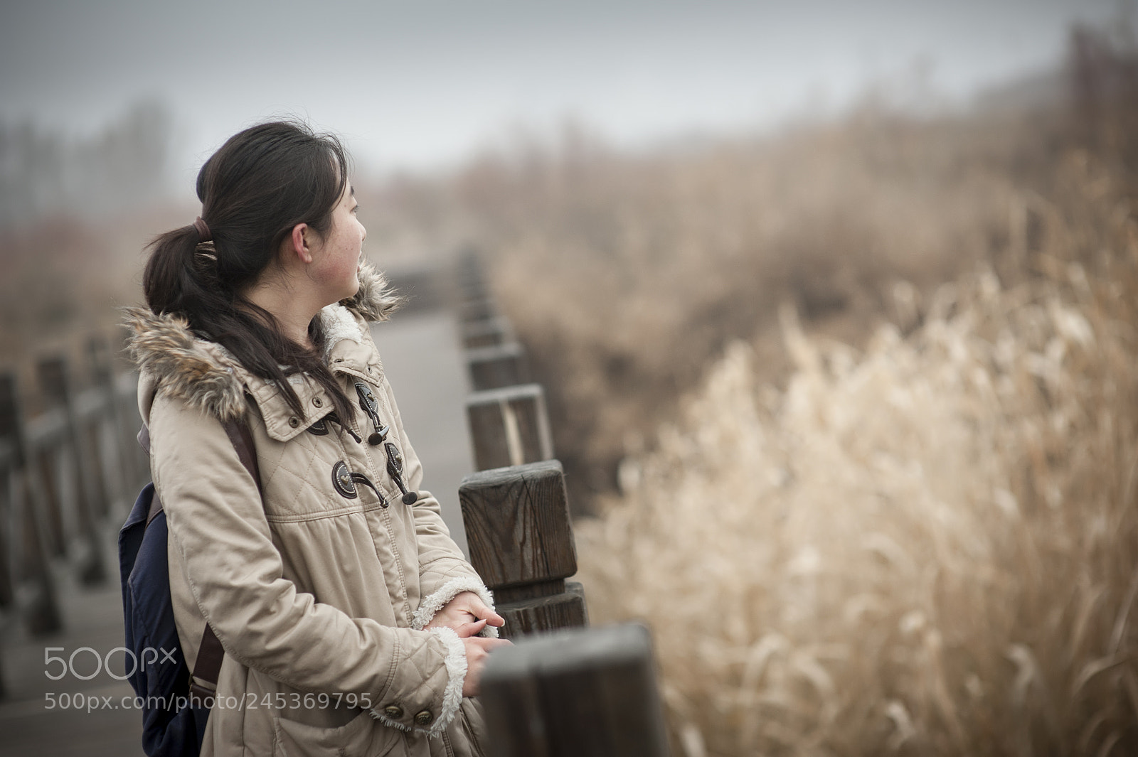Nikon D700 sample photo. 副本 photography