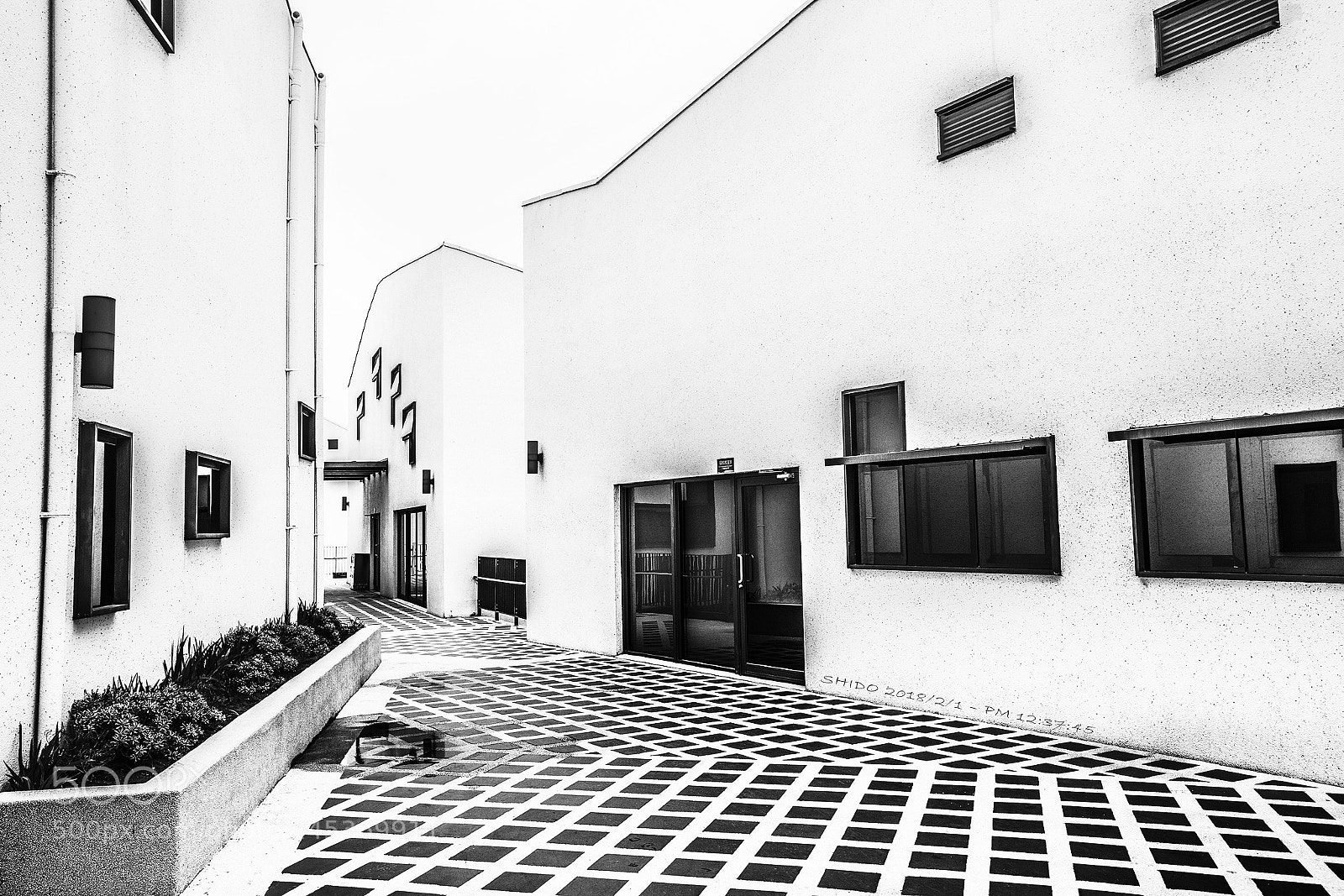Canon EOS 5DS R sample photo. Black and white photography