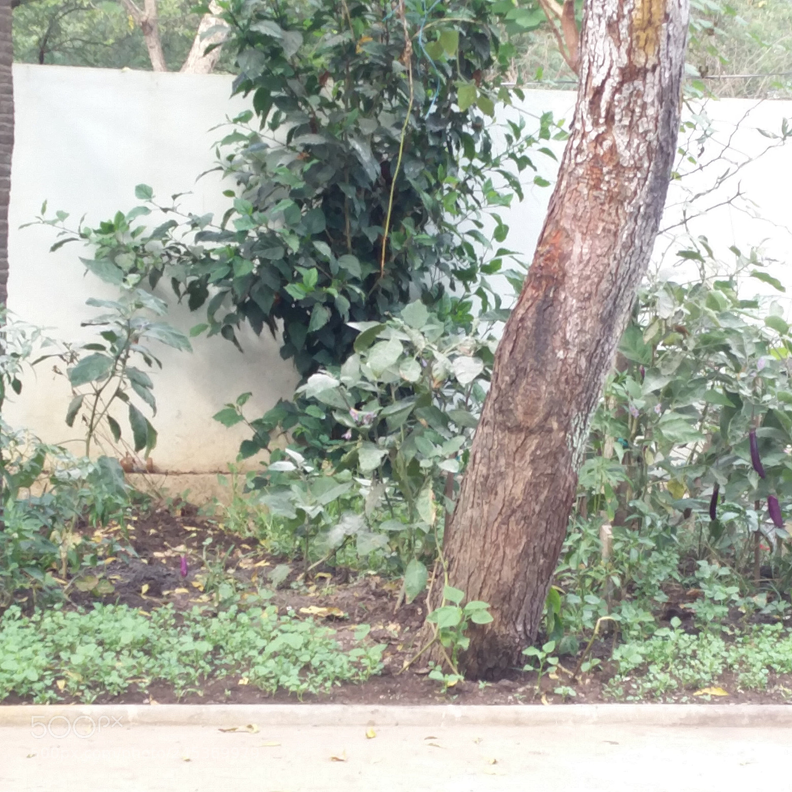 OnePlus 2 sample photo. Untitled photography