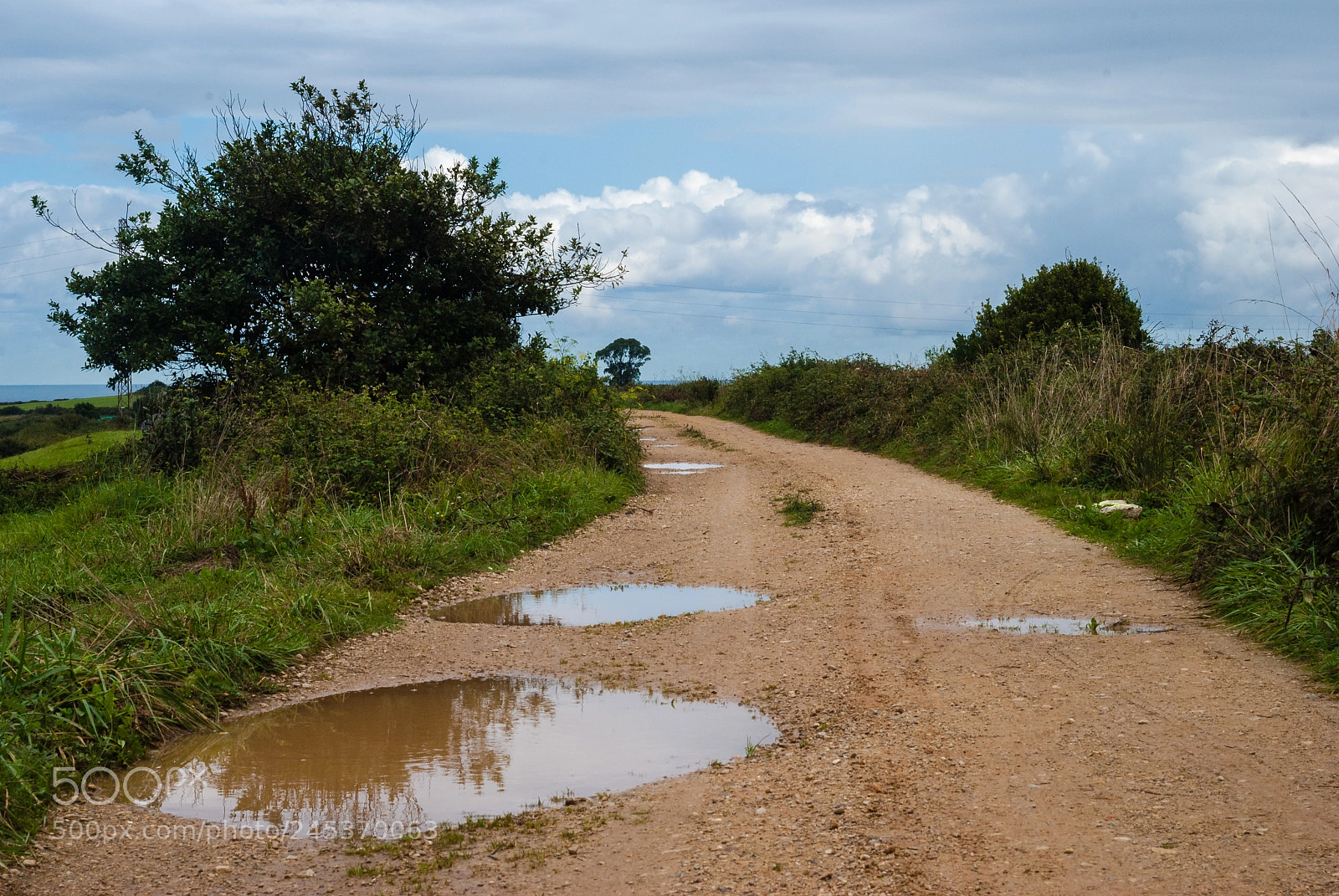 Nikon D3000 sample photo. Camino rural photography
