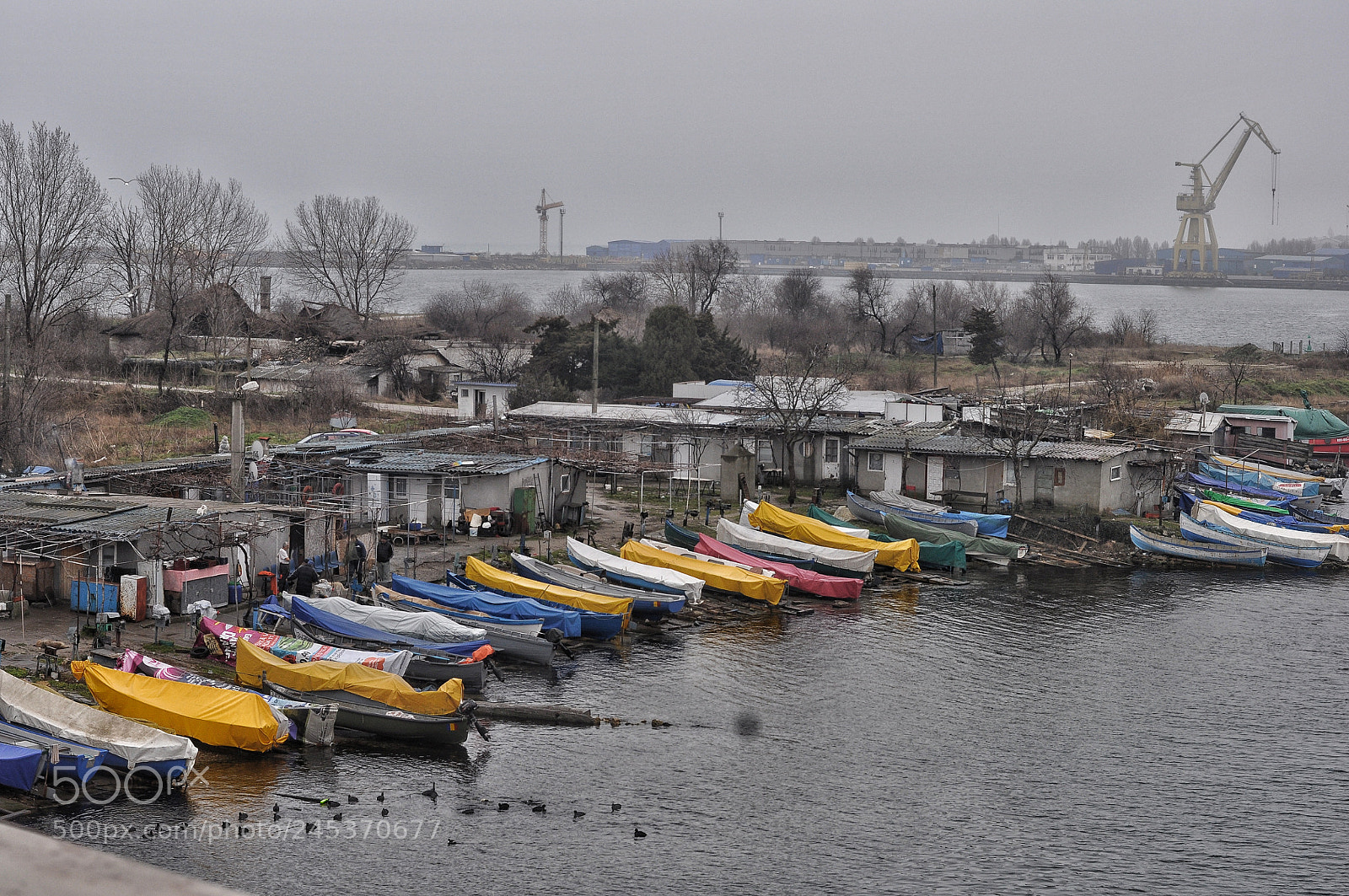 Nikon D5000 sample photo. Untitled photography