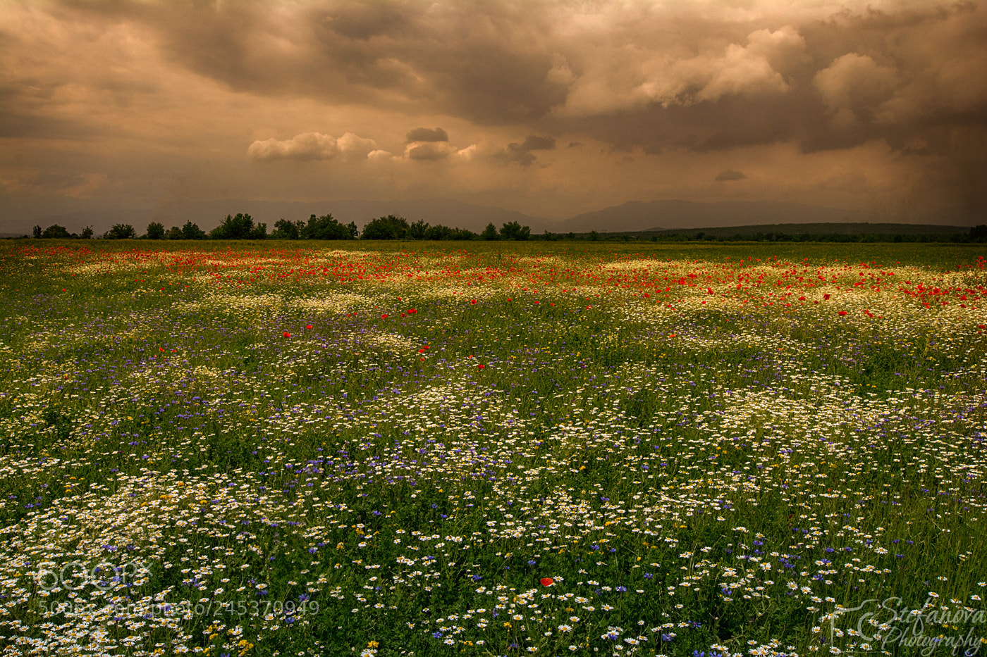 Nikon D7100 sample photo. Springtime photography