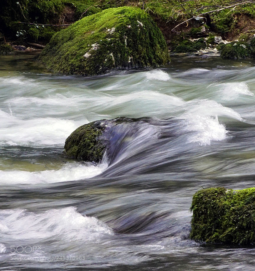 Sony ILCA-77M2 sample photo. Flow photography