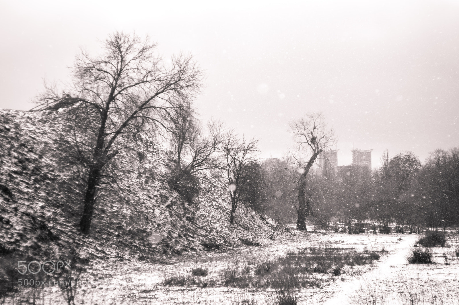 Pentax K-3 sample photo. Winter in the city photography