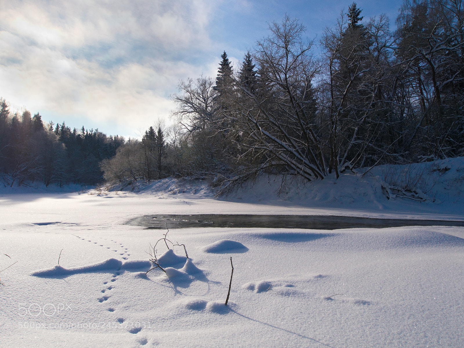 Panasonic Lumix DMC-G5 sample photo. In winter on the photography