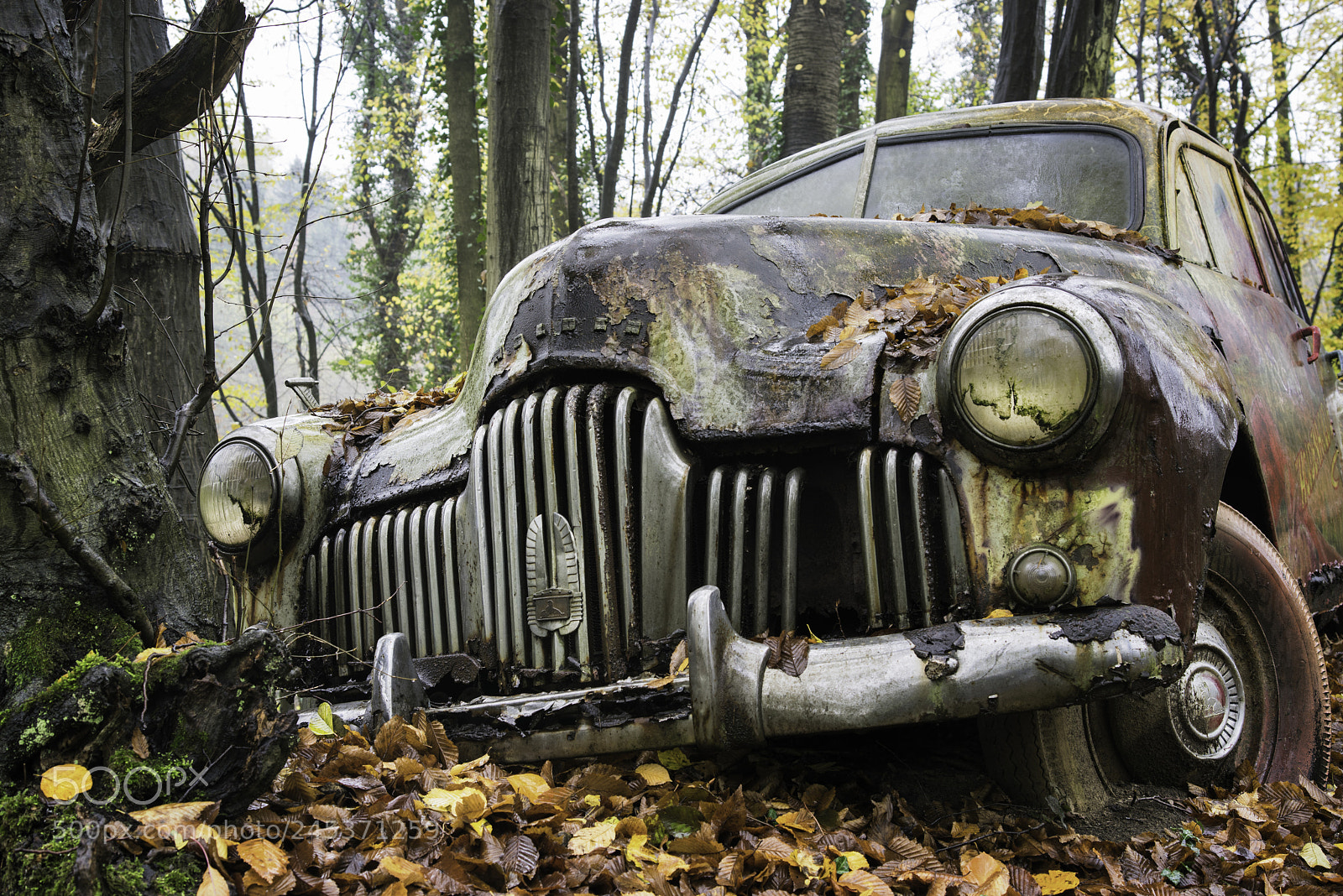 Nikon D810 sample photo. Melting photography