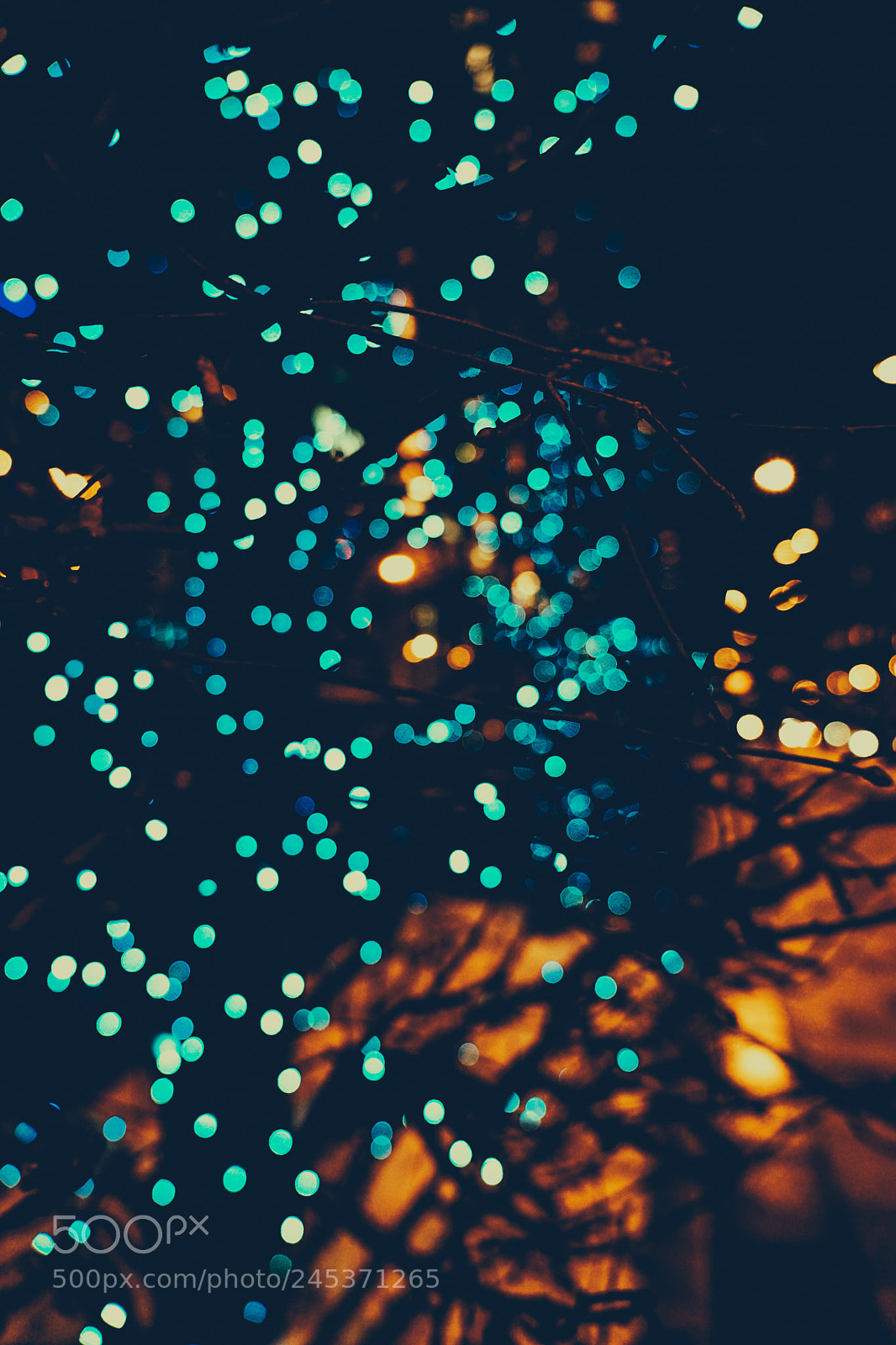 Sony a7 II sample photo. Night mood photography