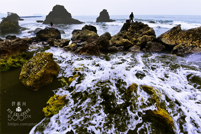 Nikon D810 sample photo. 西子灣風景 photography