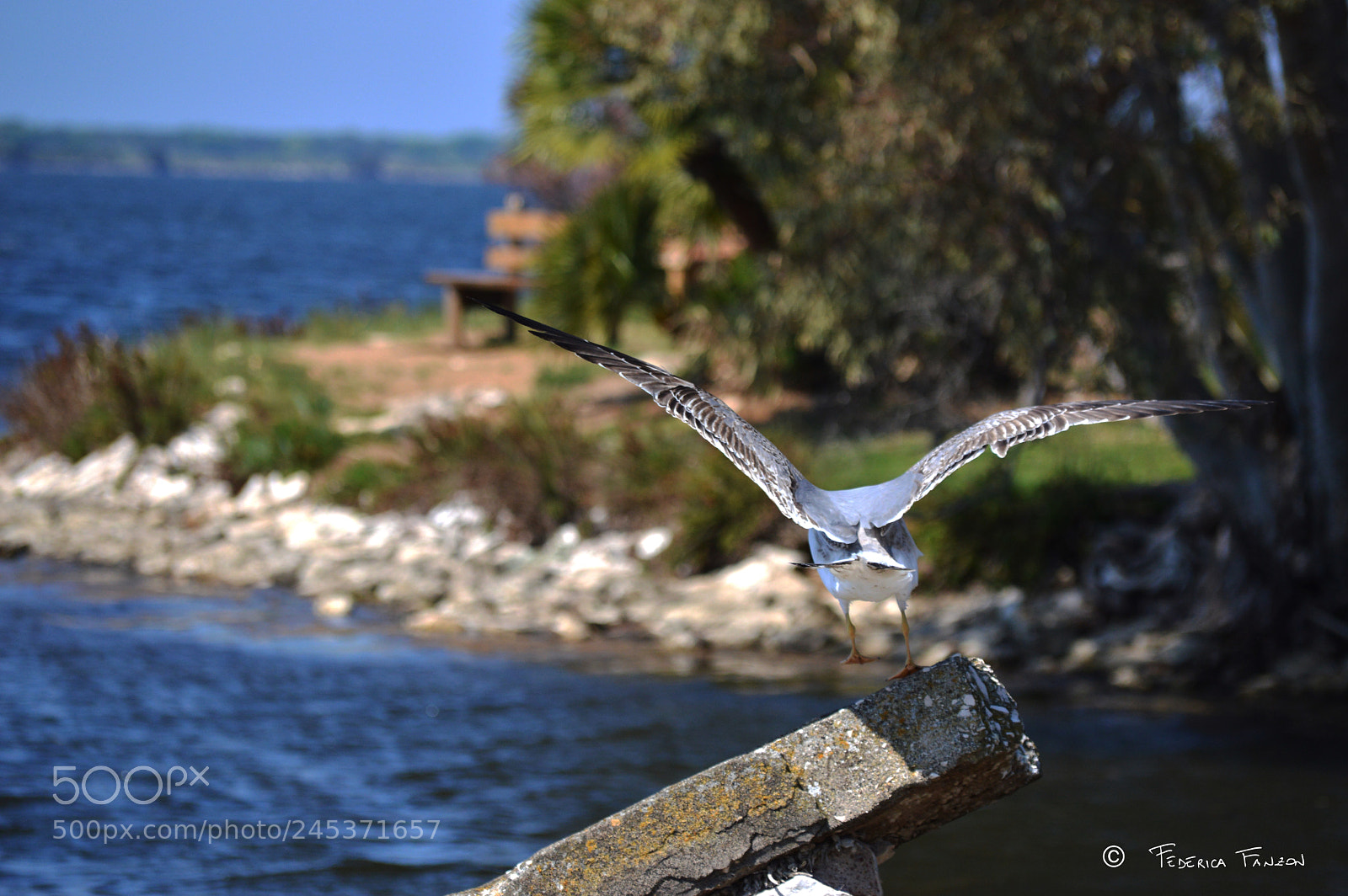 Nikon D3200 sample photo. Flight photography