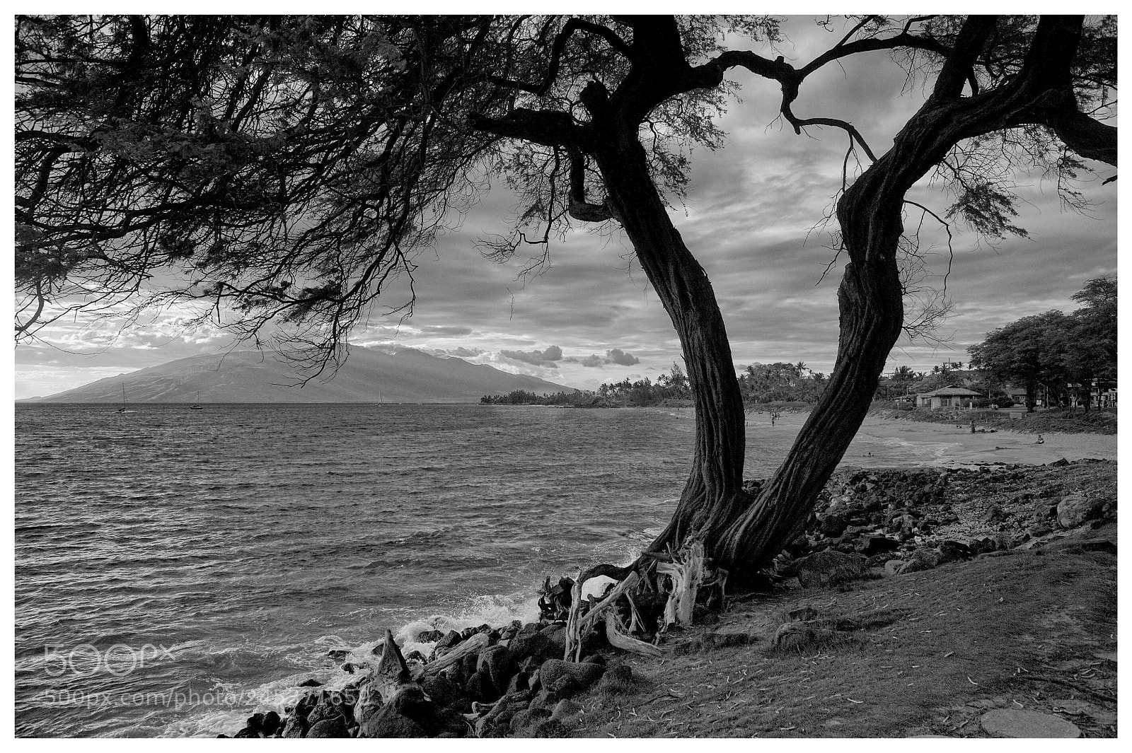 Nikon D700 sample photo. Island photography