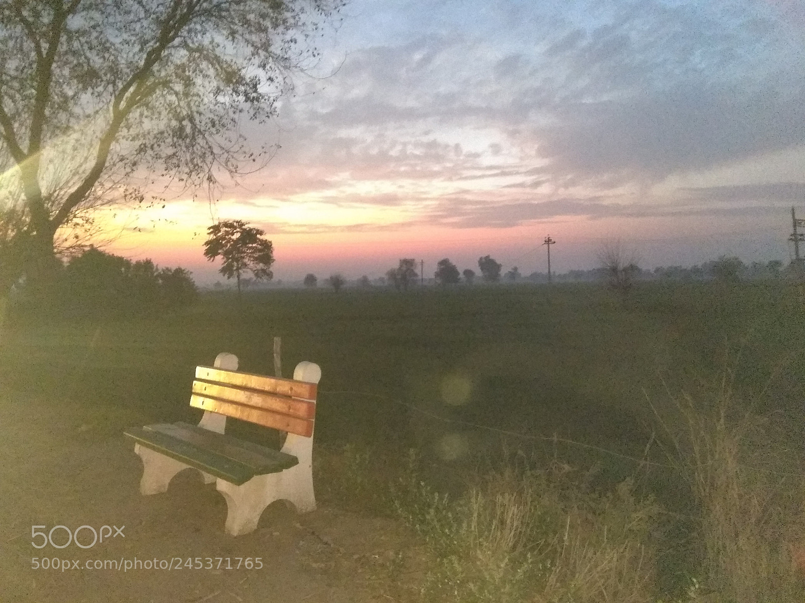 Xiaomi Redmi Note 4 sample photo. Untitled photography