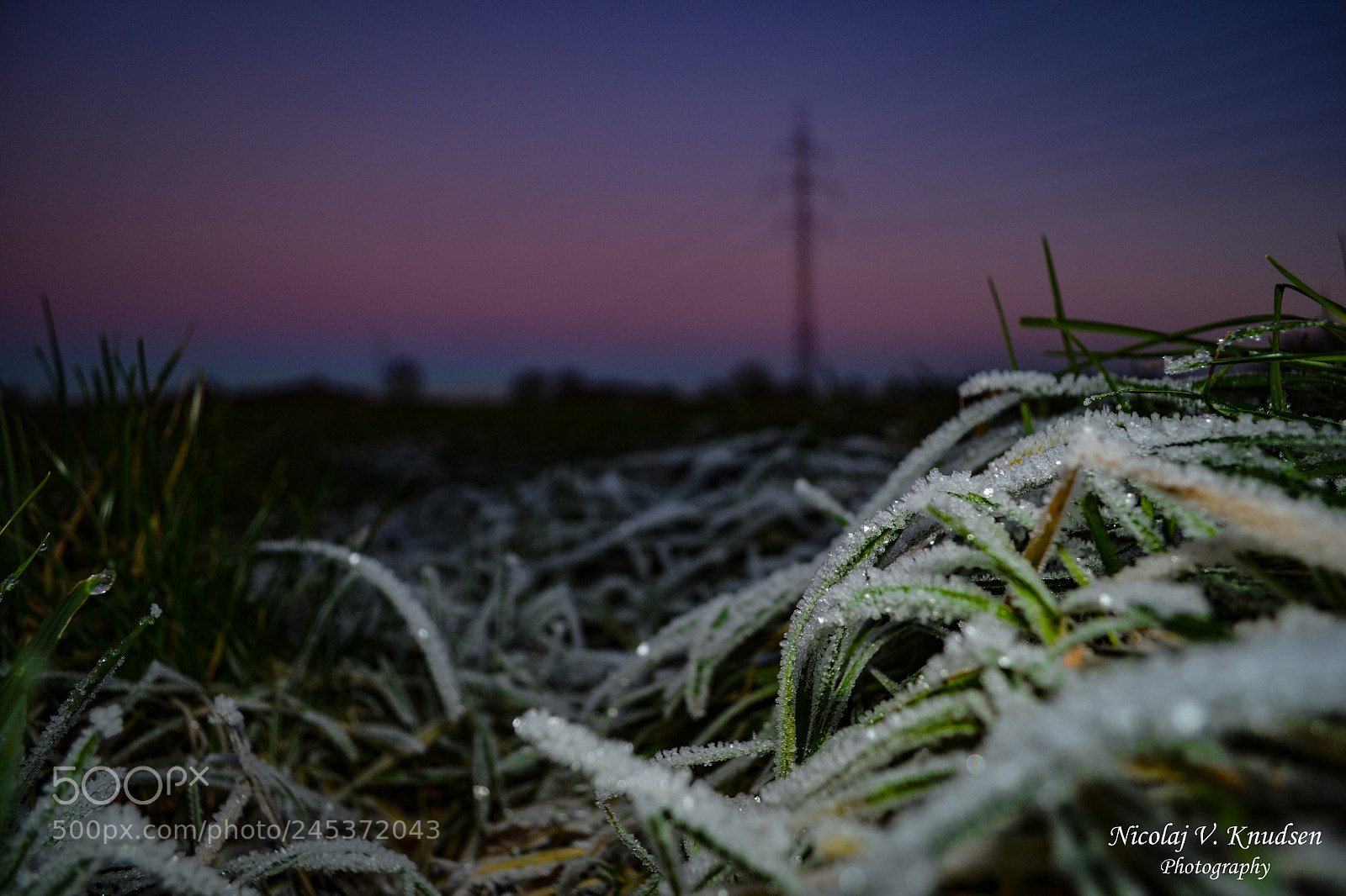Nikon D3100 sample photo. Rimfrost photography