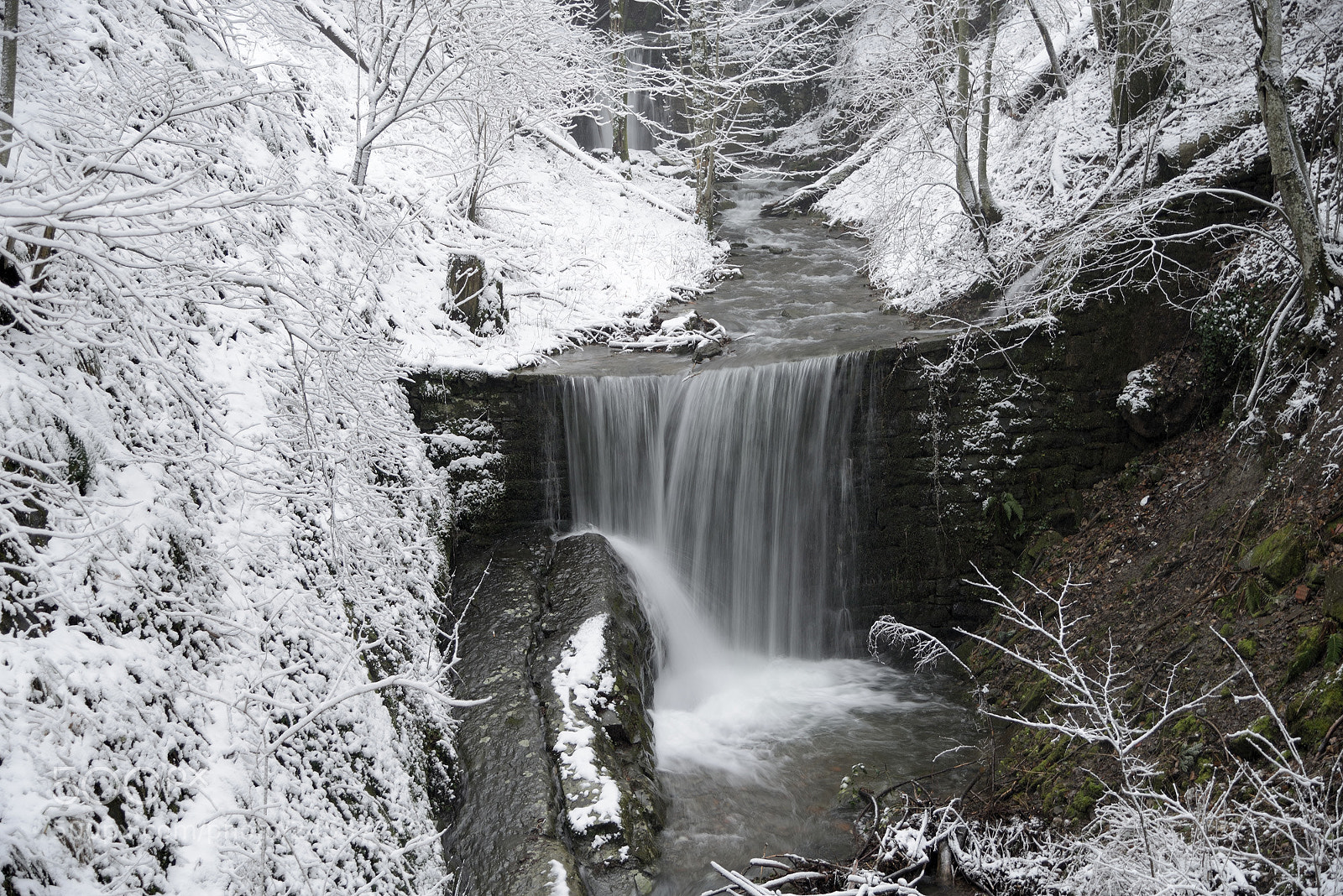 Nikon D800 sample photo. A stream in the photography