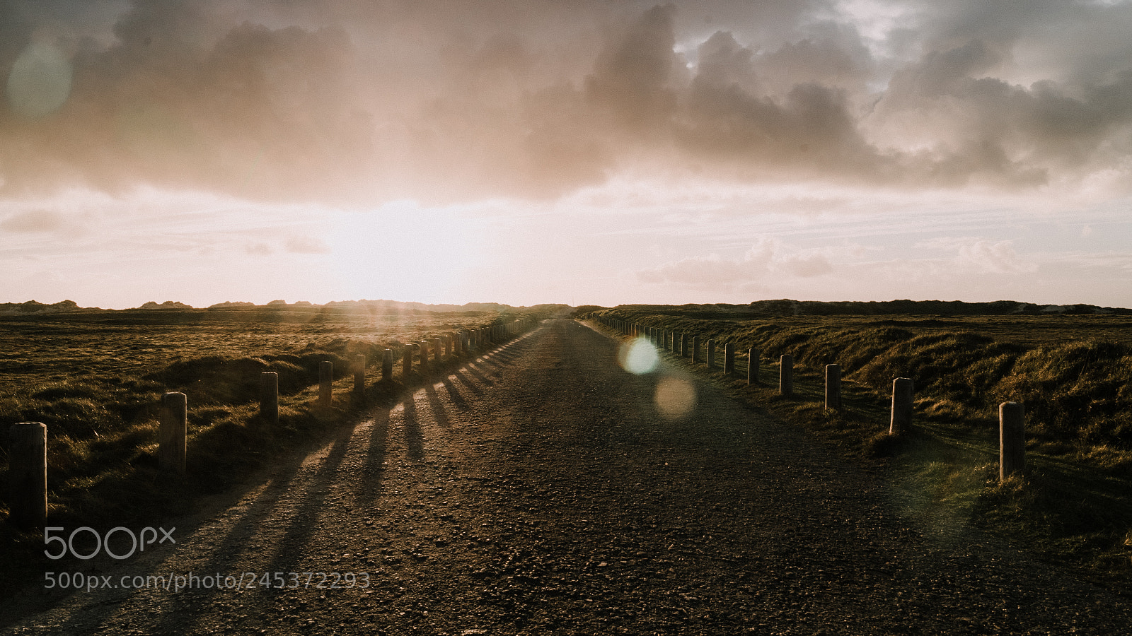 Sony a7S II sample photo. Sur la route des photography