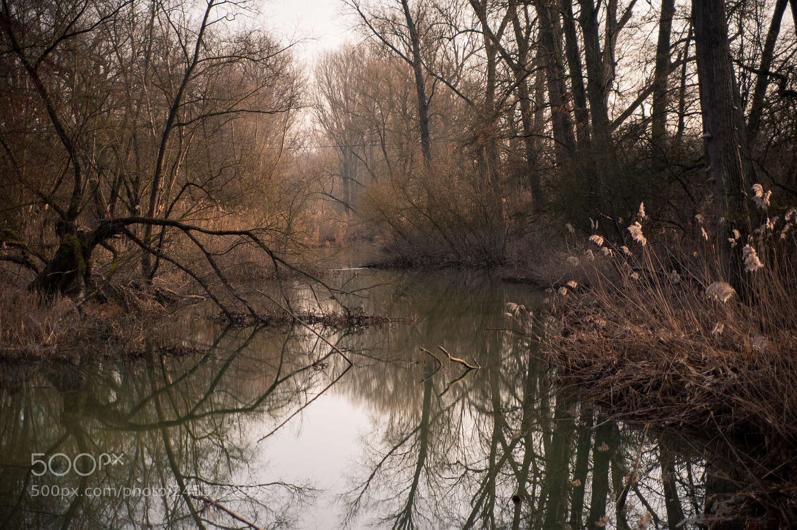 Nikon D700 sample photo. Morning photography