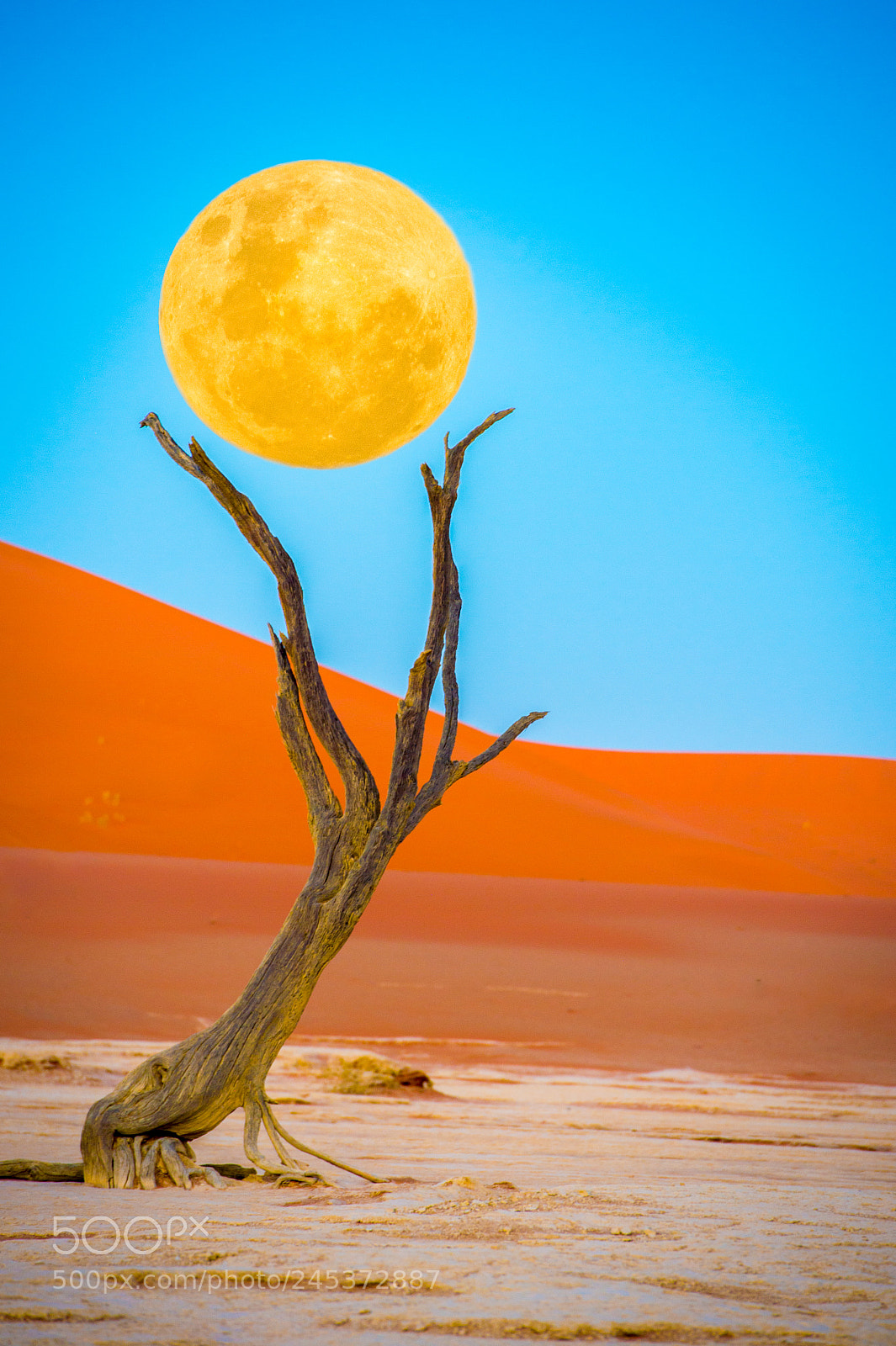 Nikon D4S sample photo. Moon-setting, deadvlei photography
