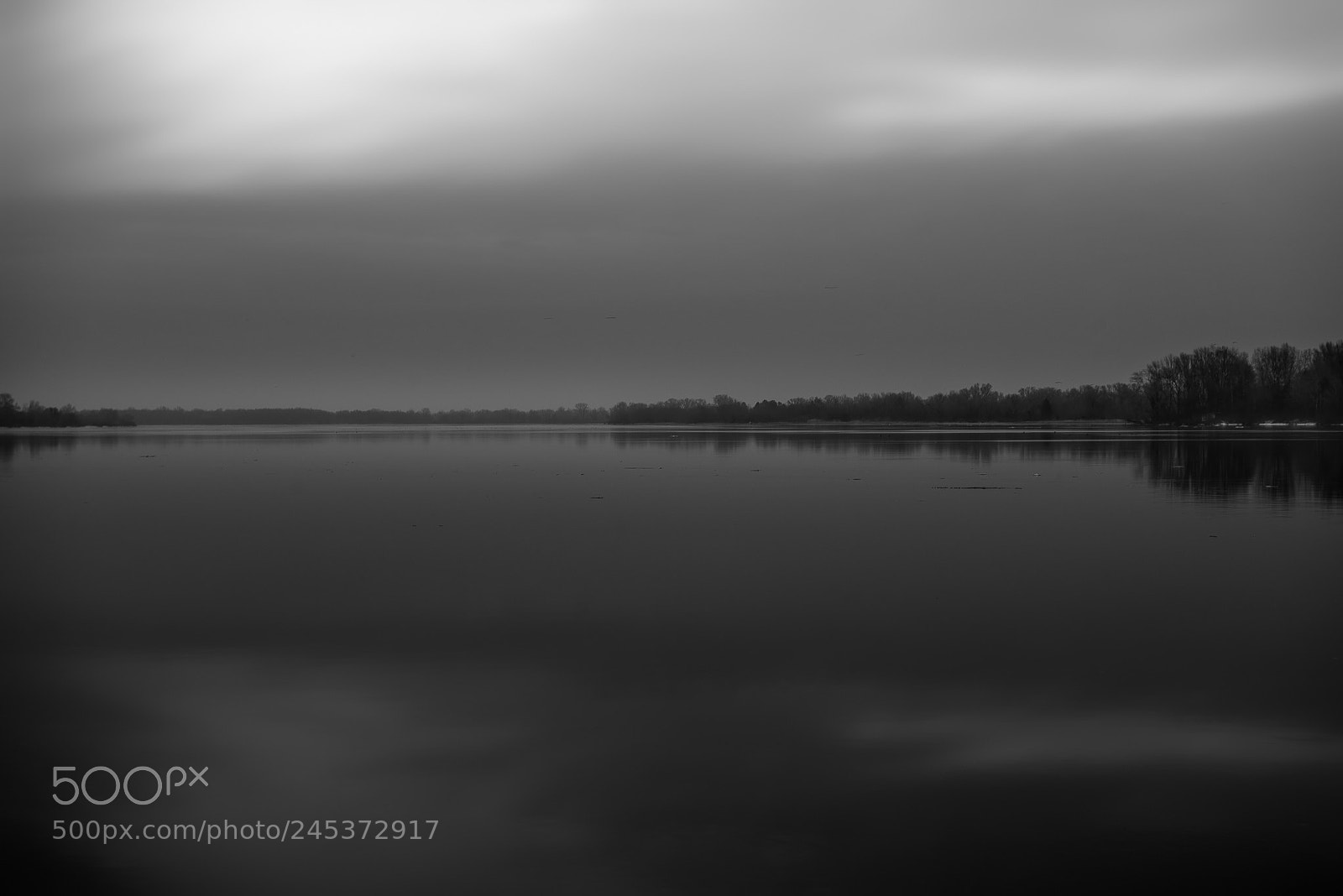Nikon D810 sample photo. Silence photography