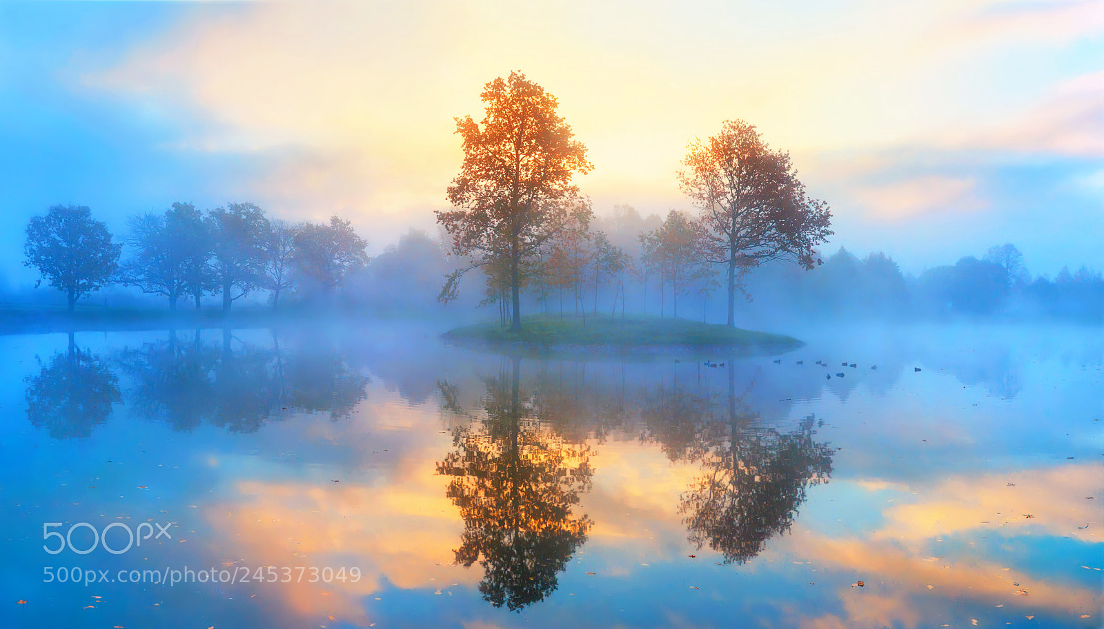 Canon EOS 50D sample photo. Nature, landscape, forest,pond, lake photography