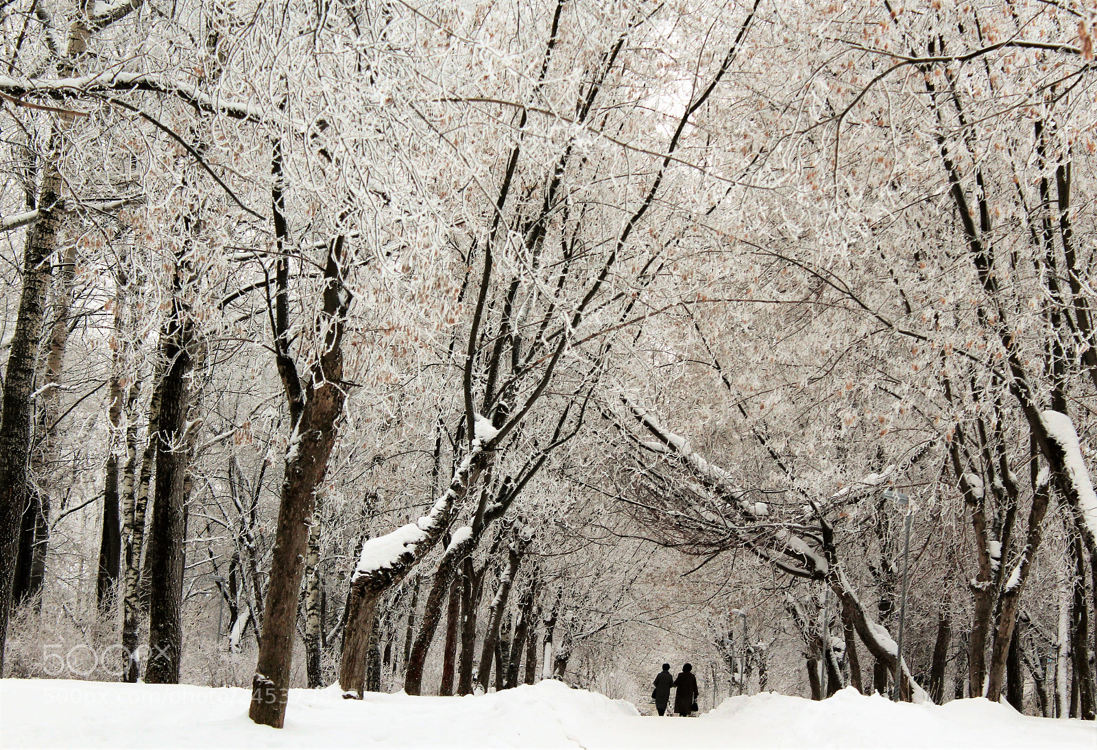 Canon EOS 1300D (EOS Rebel T6 / EOS Kiss X80) sample photo. Winter wonderland in kirov photography