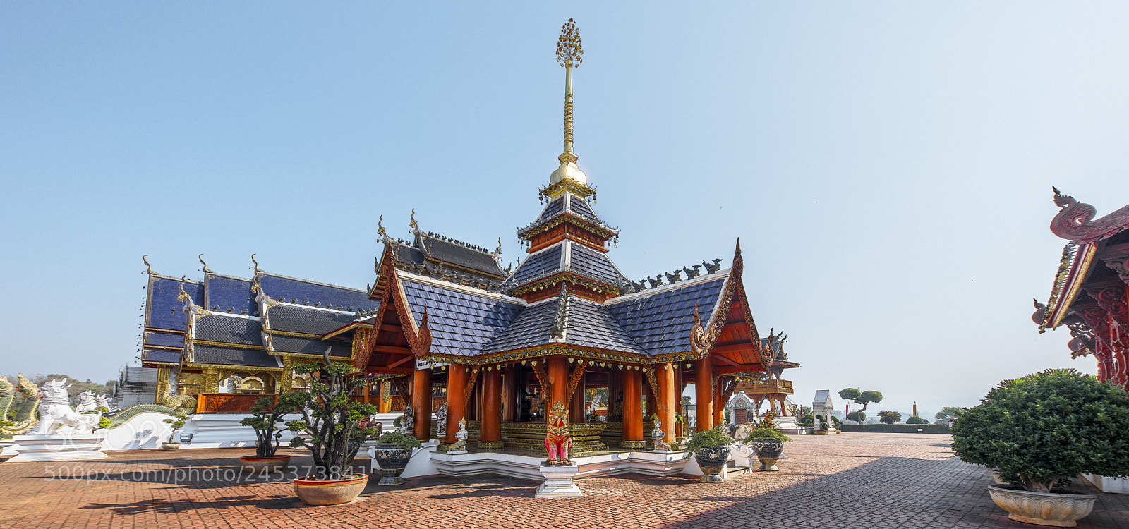 Nikon D850 sample photo. Wat ban den photography