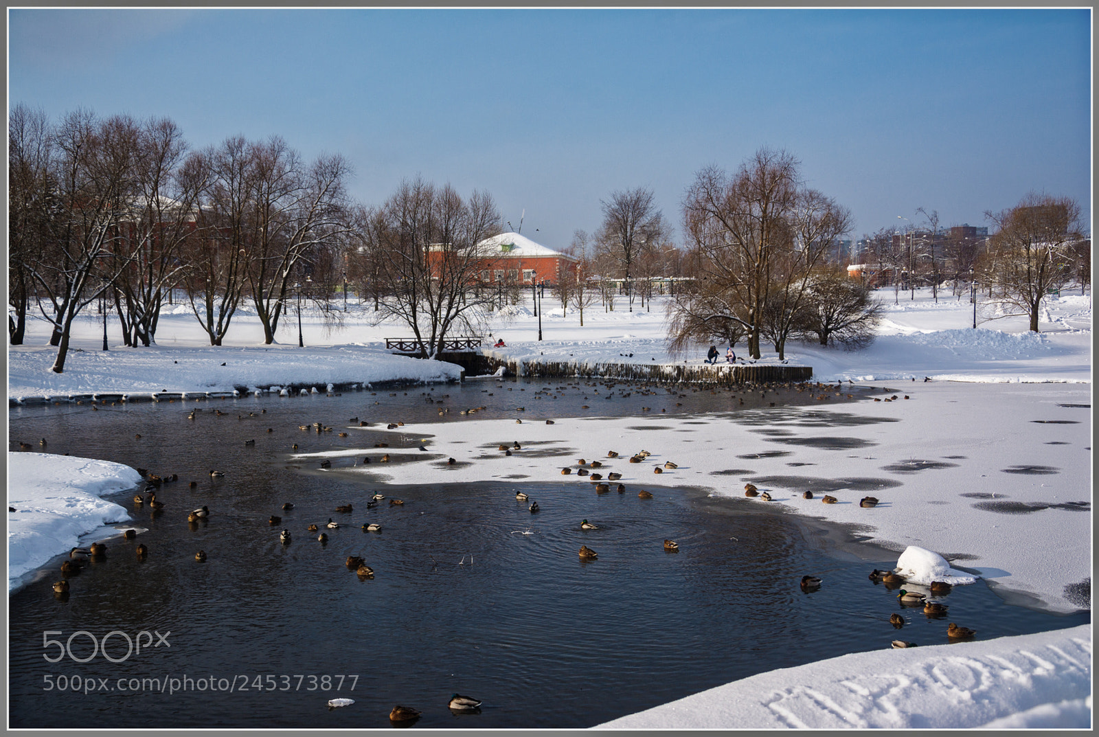Nikon D7100 sample photo. Dxo photography
