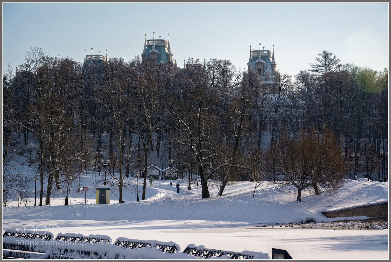 Nikon D7100 sample photo. Dxo photography