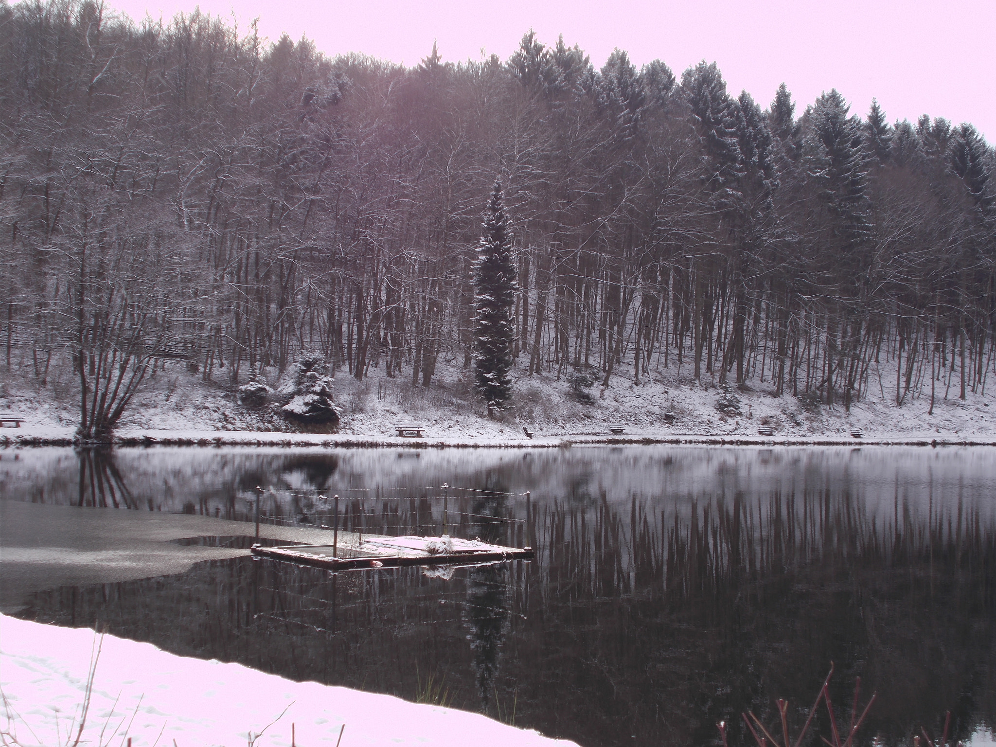 Nikon Coolpix A10 sample photo. Trees alongside lake photography