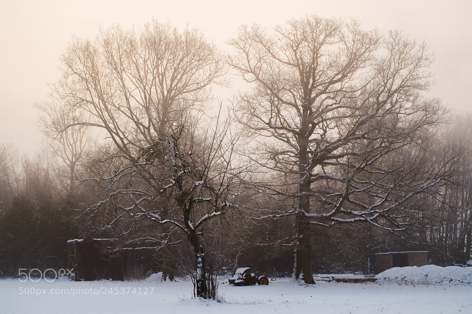 Fujifilm X-E1 sample photo. Winter foggy morning photography