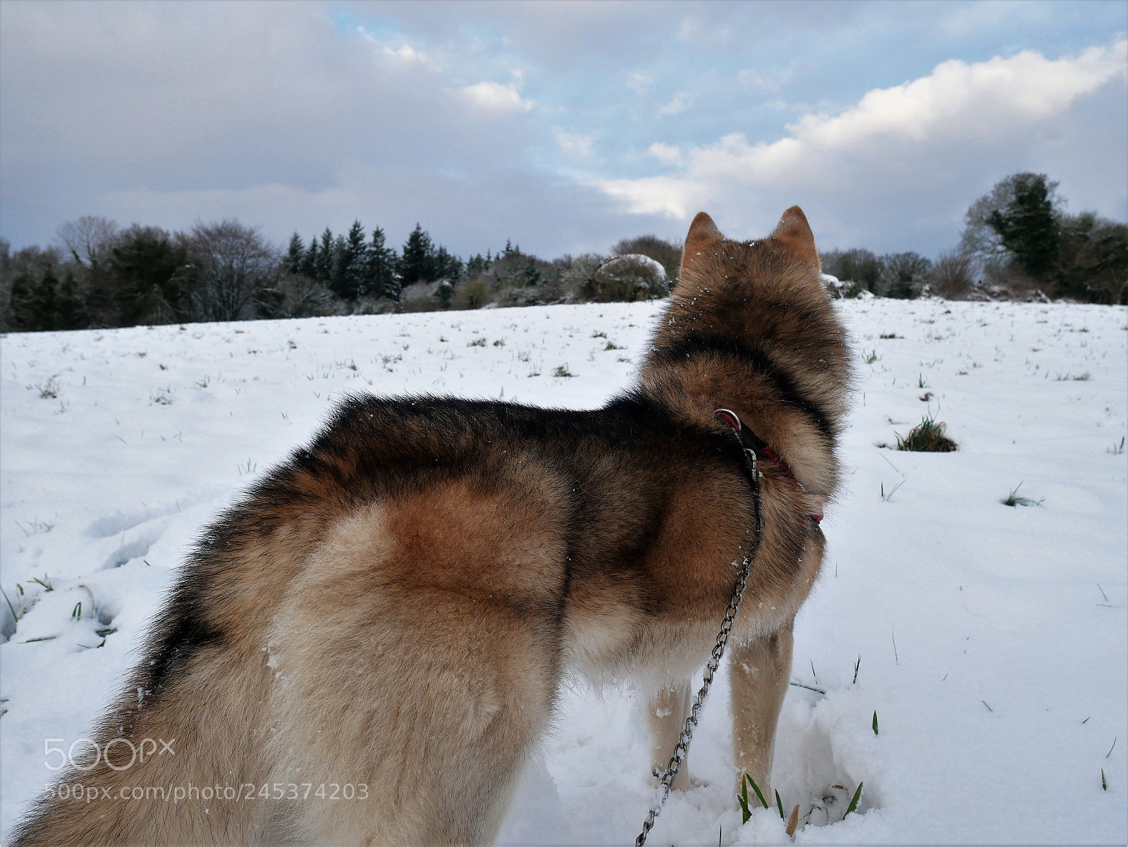 Panasonic Lumix DMC-GX85 (Lumix DMC-GX80 / Lumix DMC-GX7 Mark II) sample photo. Lookout in the snow photography