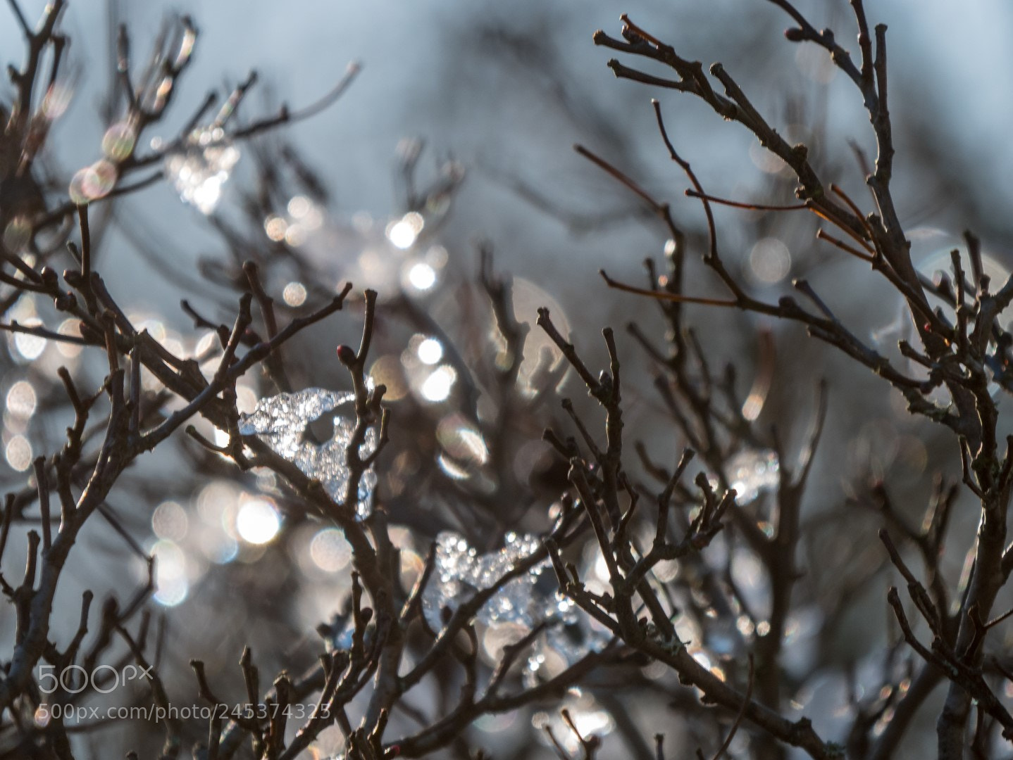 Panasonic Lumix DMC-GX85 (Lumix DMC-GX80 / Lumix DMC-GX7 Mark II) sample photo. Winter photography