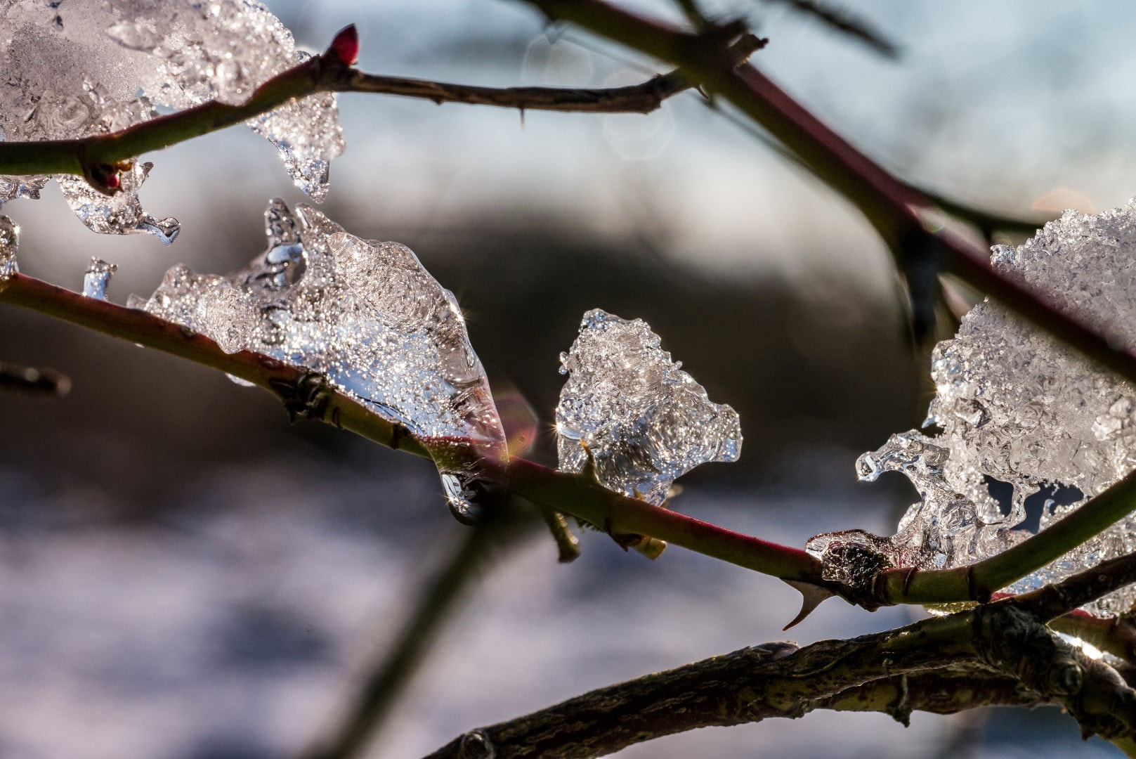 Panasonic Lumix DMC-GX1 sample photo. Winter photography