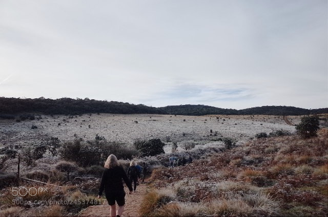 Ricoh GR sample photo. Hortons plains national park photography
